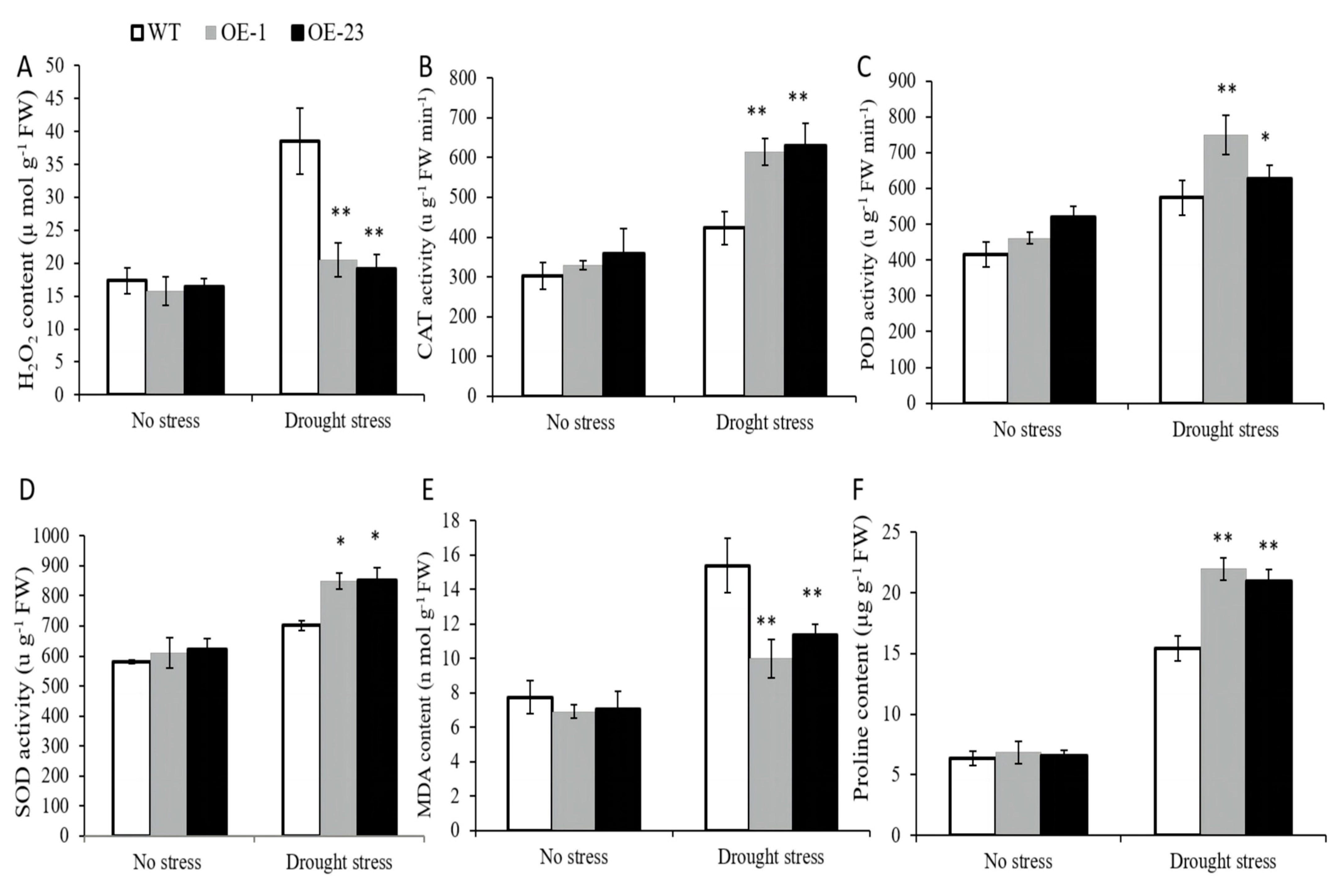 Plants 12 03338 g006