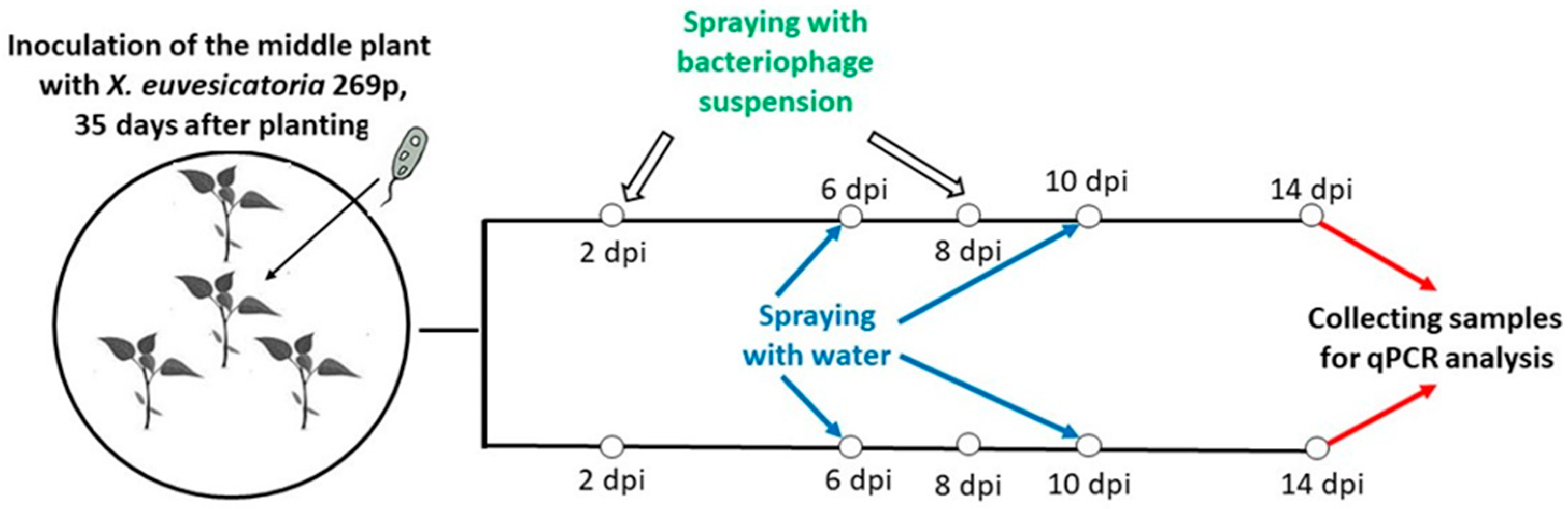 Plants 12 03348 g007