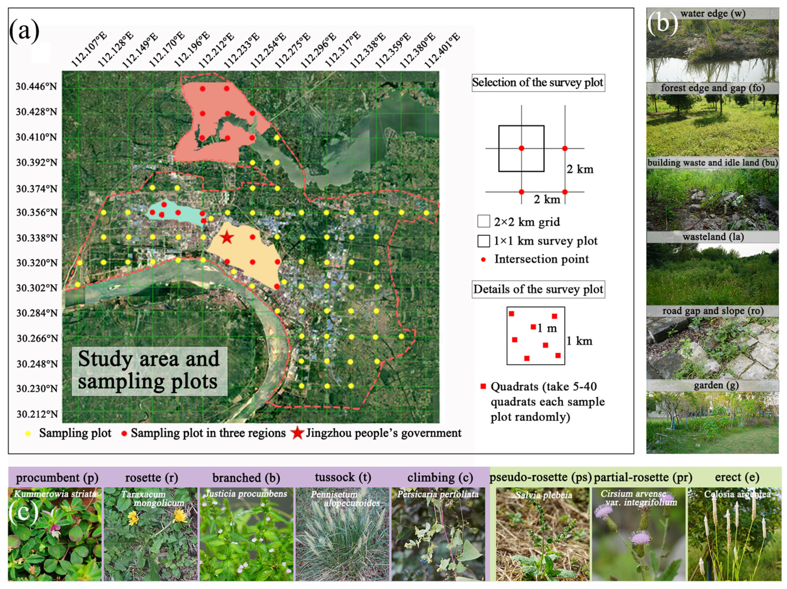 Plants 12 03353 g008