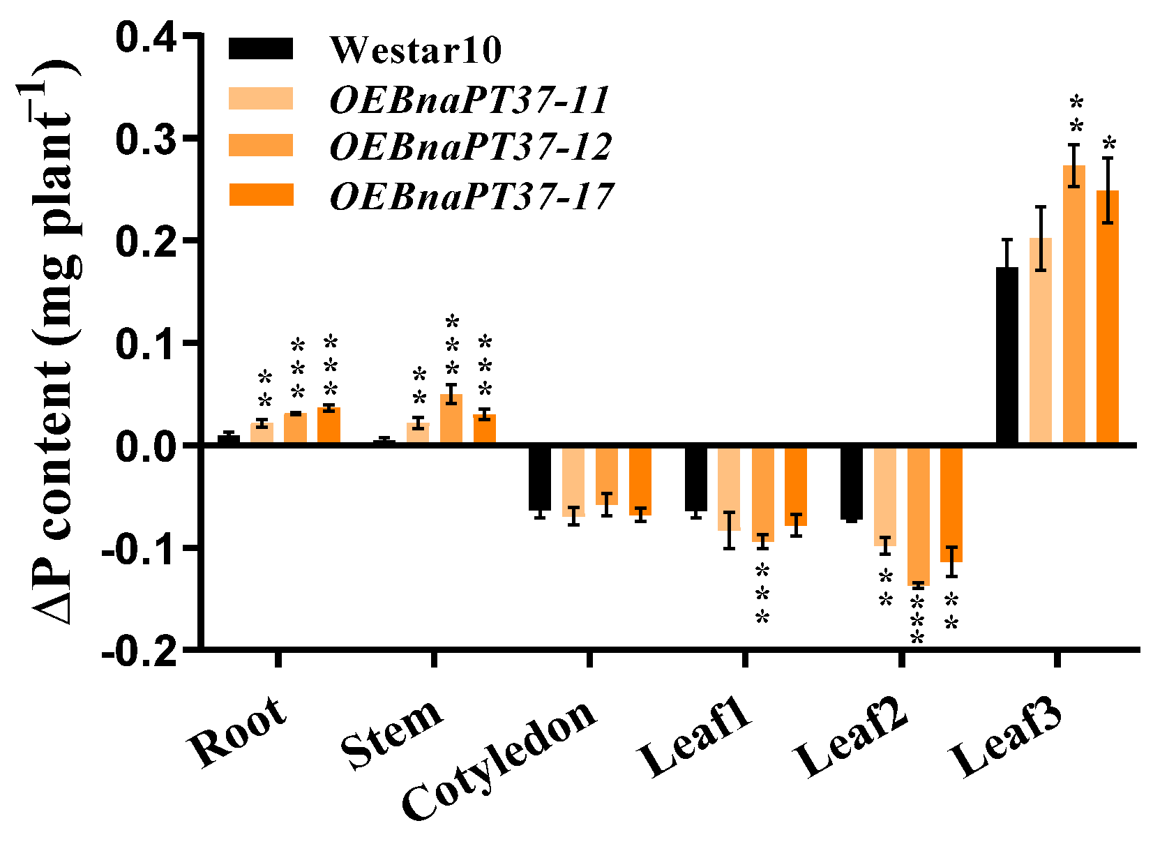 Plants 12 03362 g008