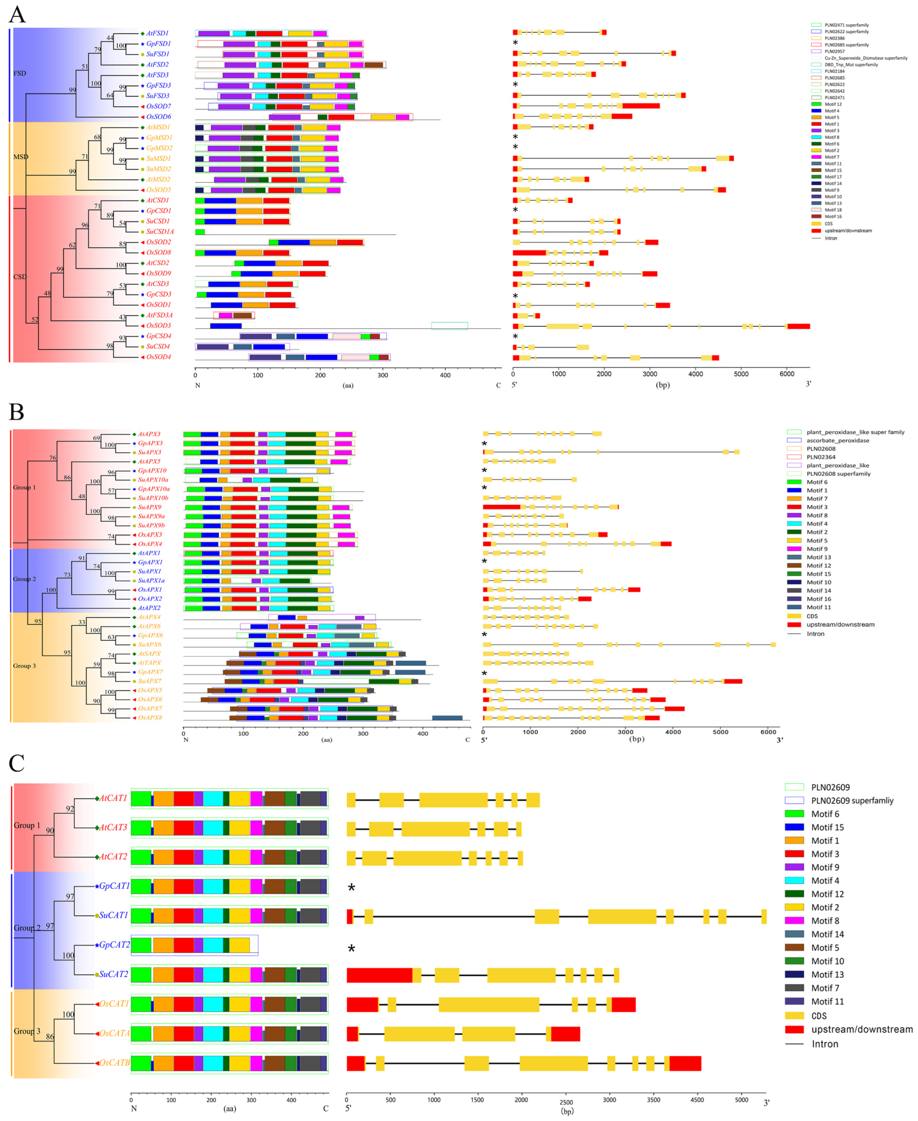 Plants 12 03370 g001 Plants 12 03370 g001