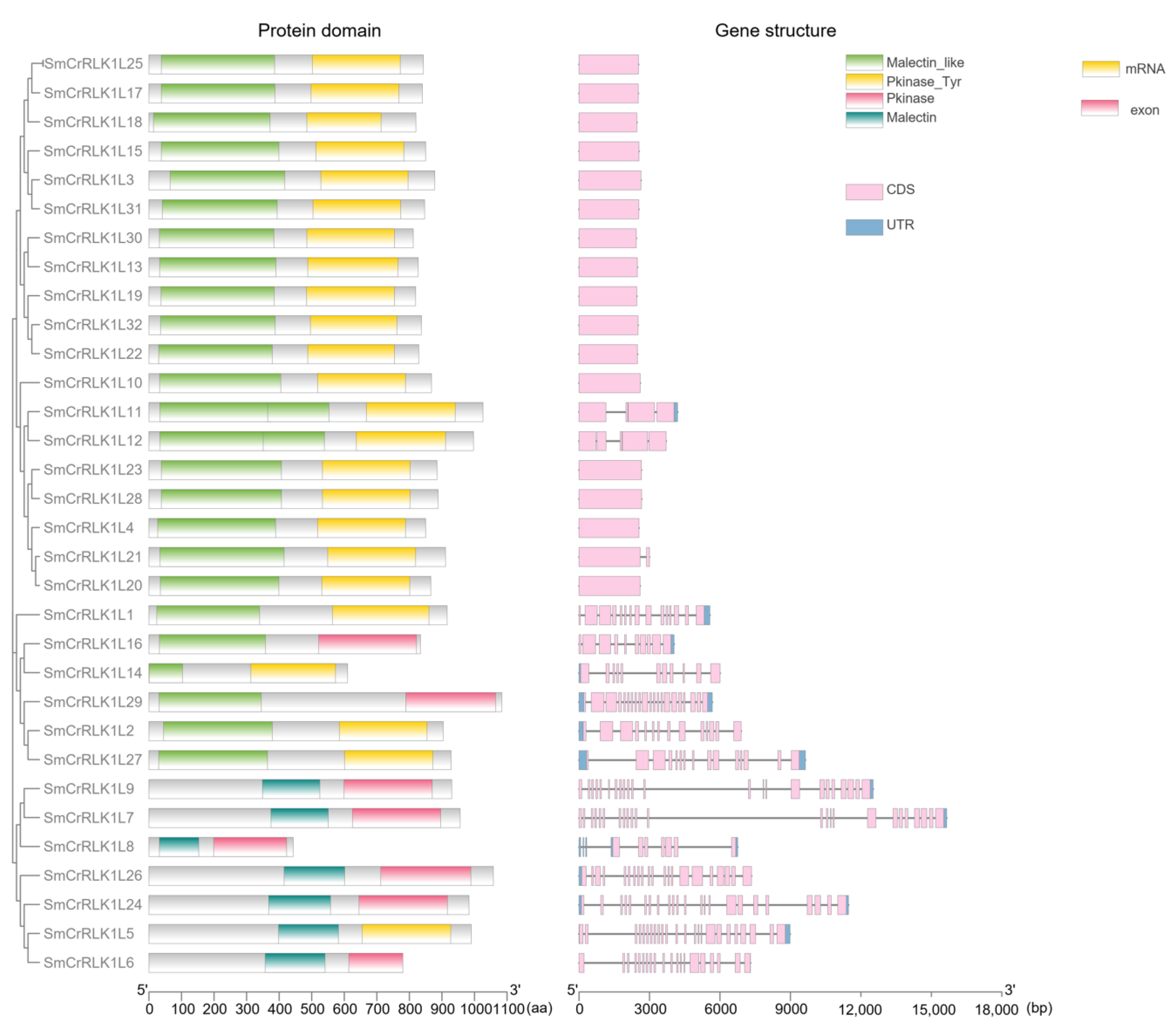 Plants 12 03379 g003