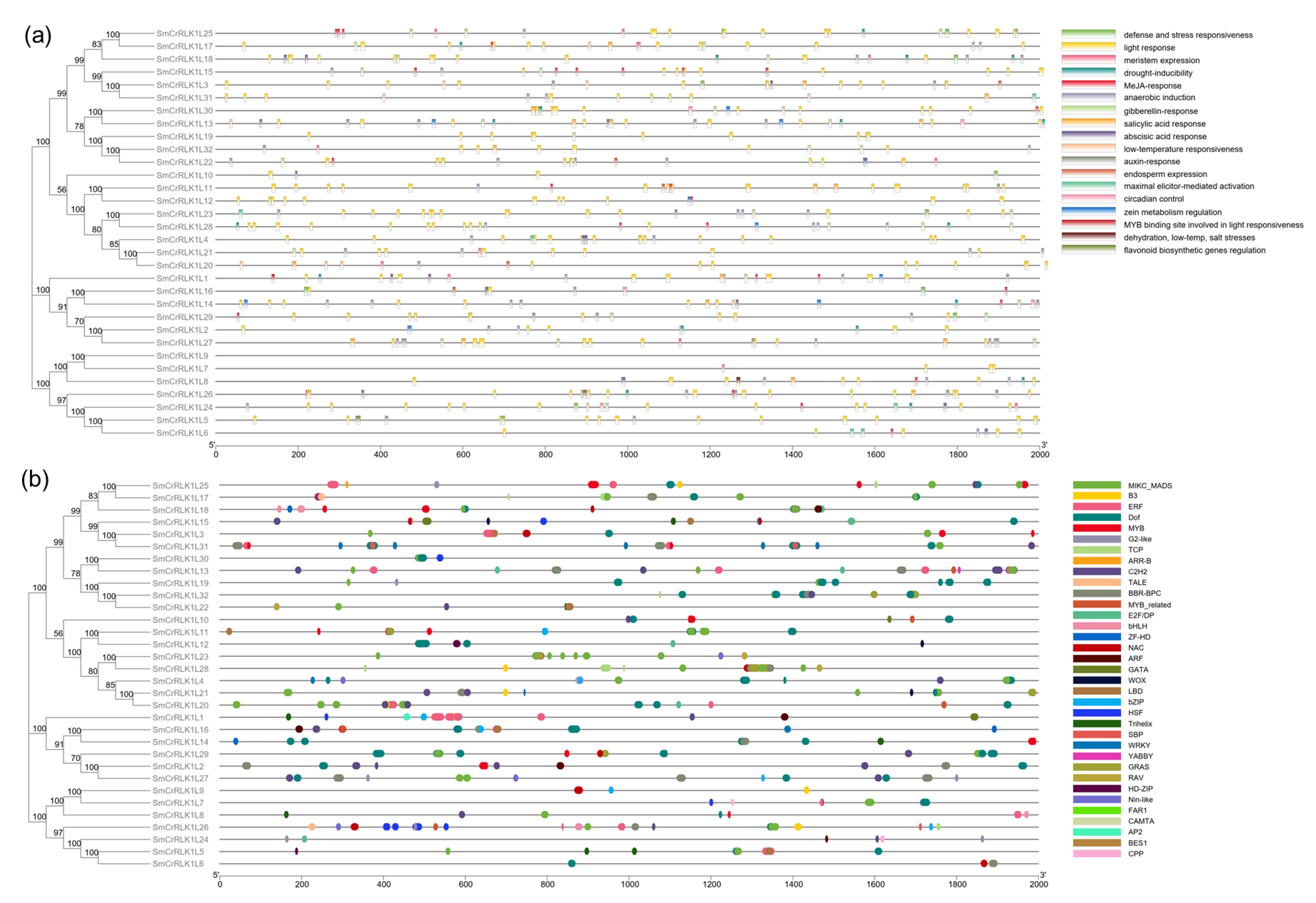 Plants 12 03379 g005