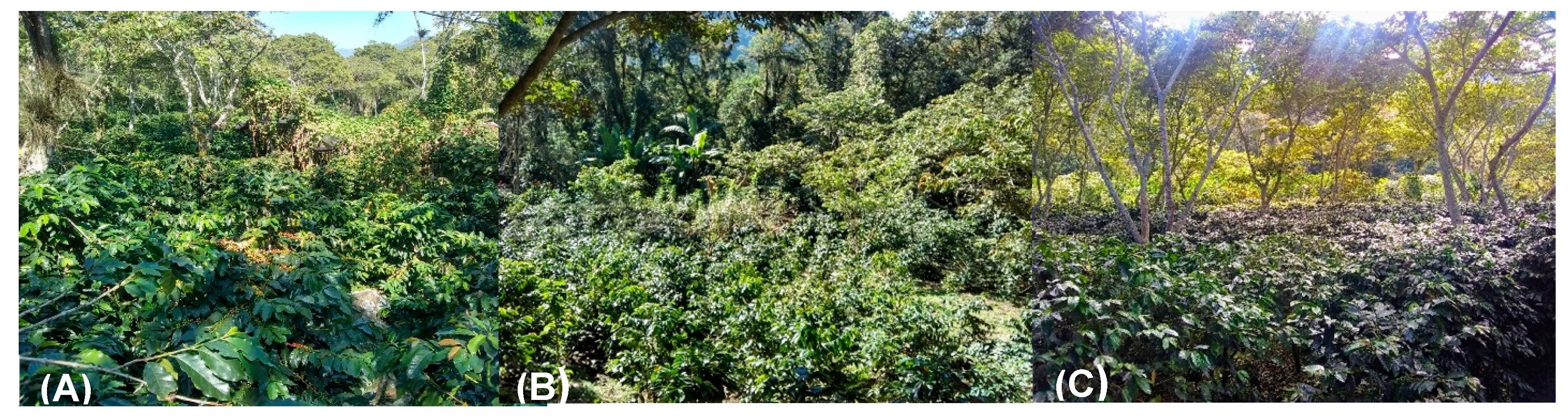 Plants 12 03395 g010