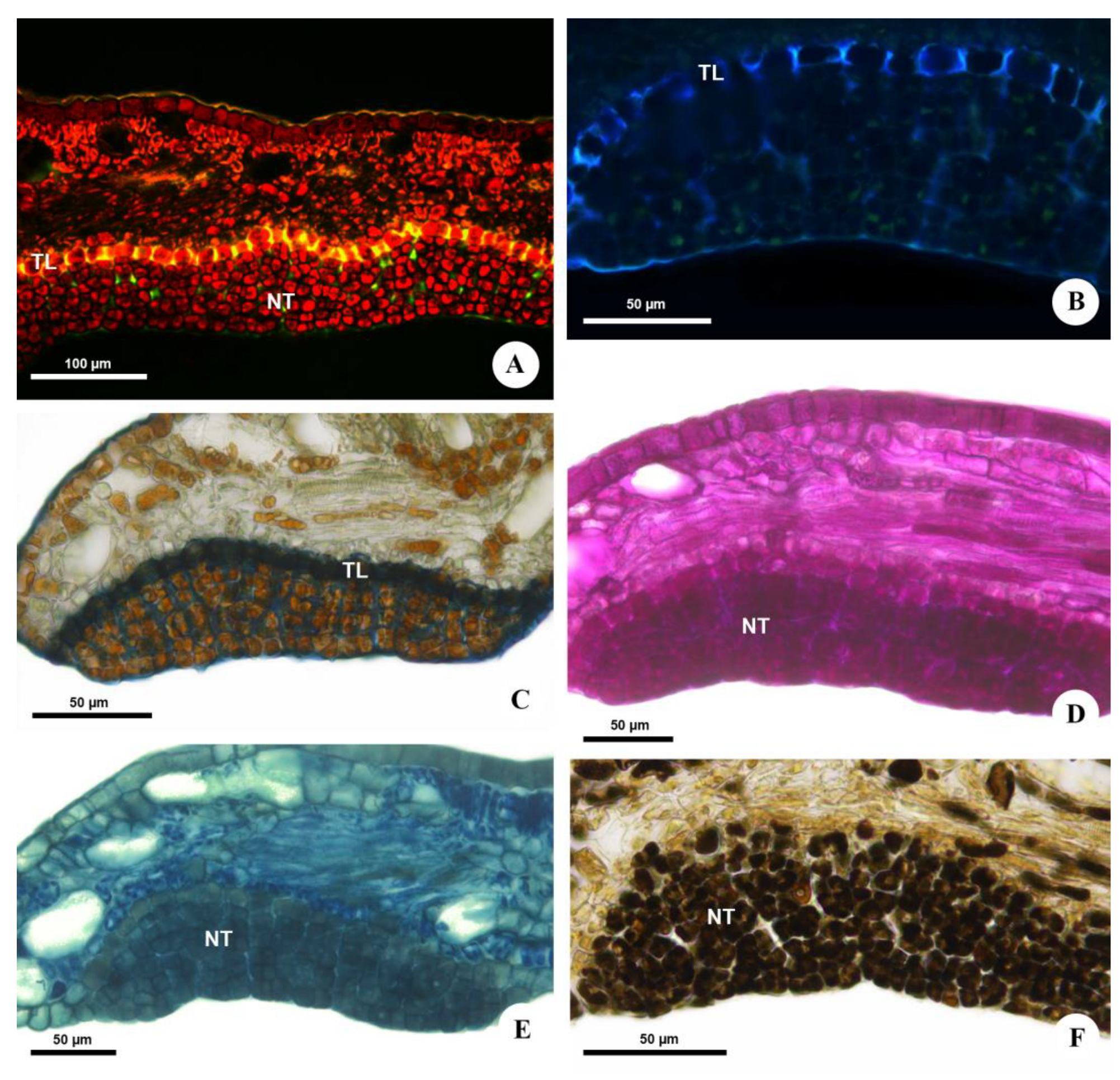 Plants 12 03411 g004 Plants 12 03411 g004