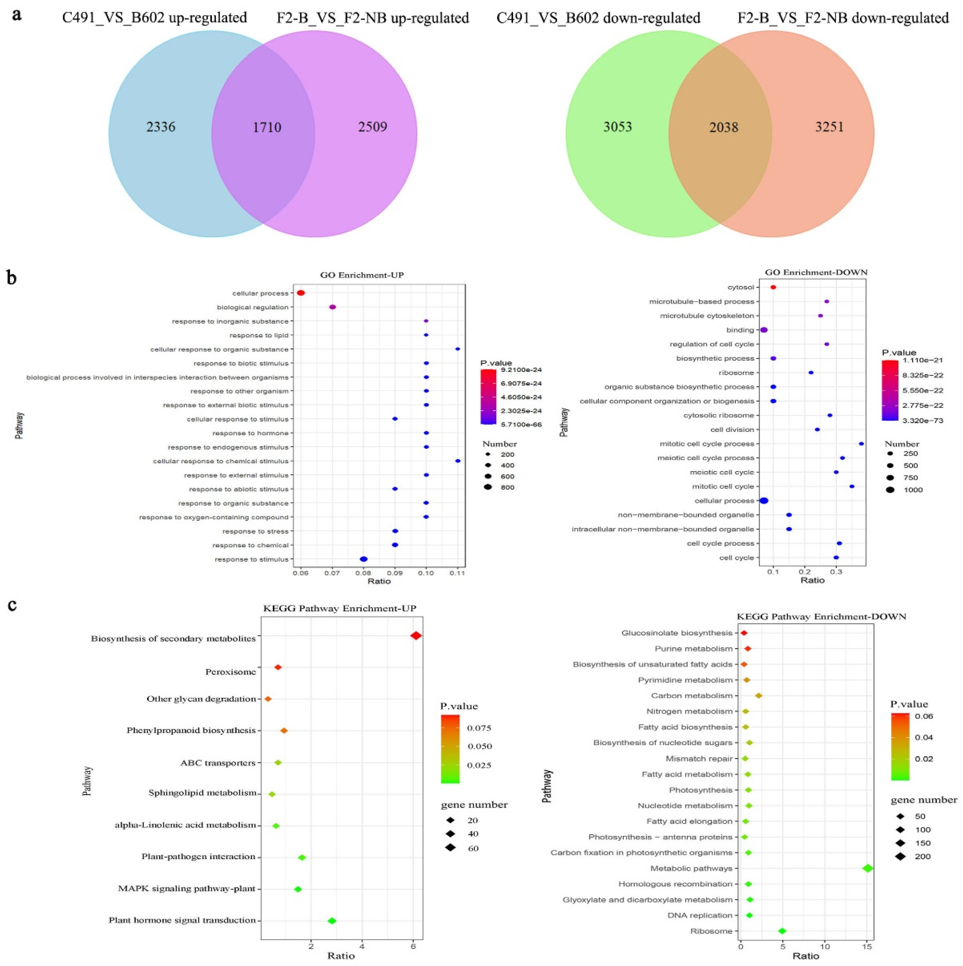 Plants 12 03413 g002