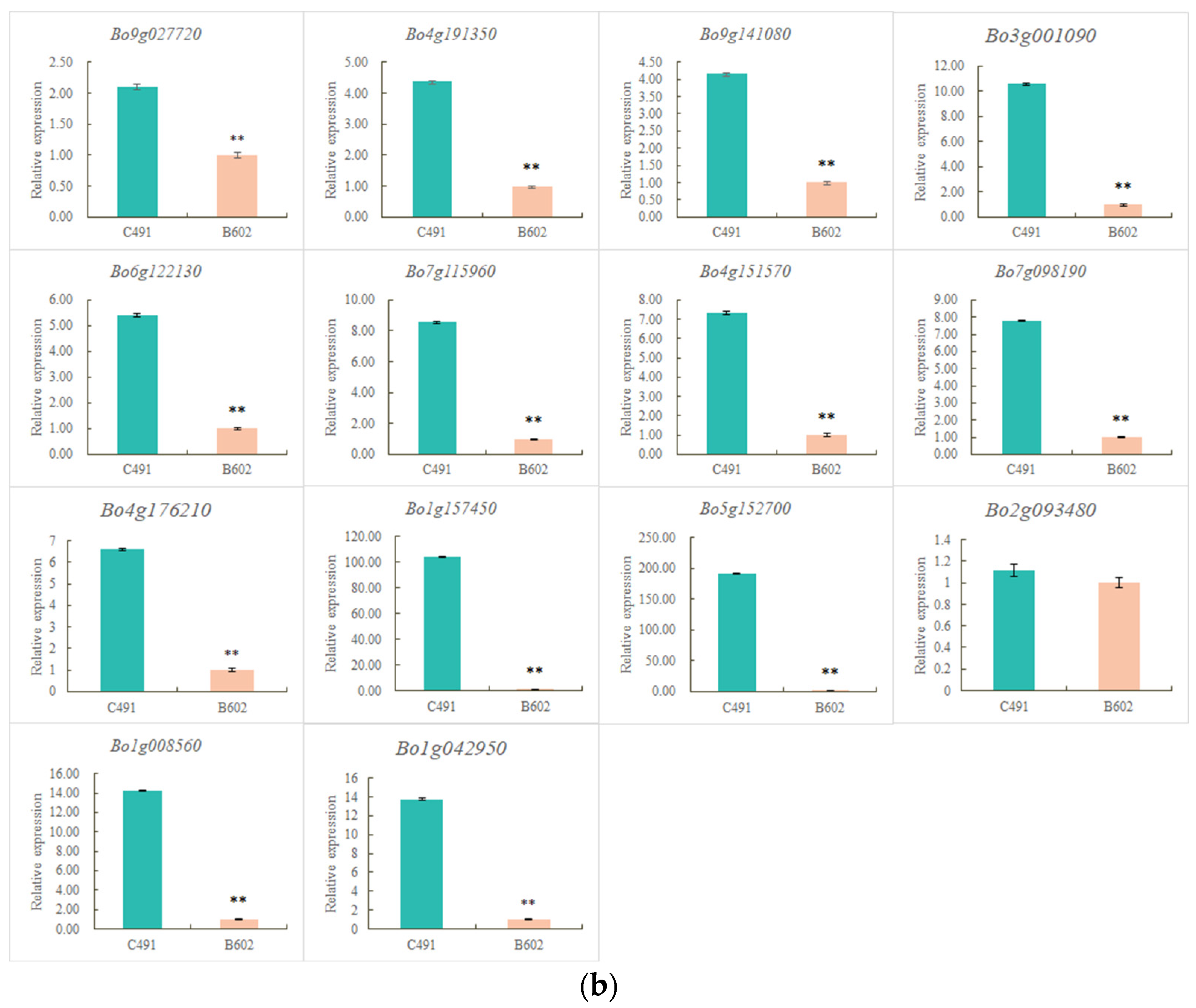 Plants 12 03413 g004b