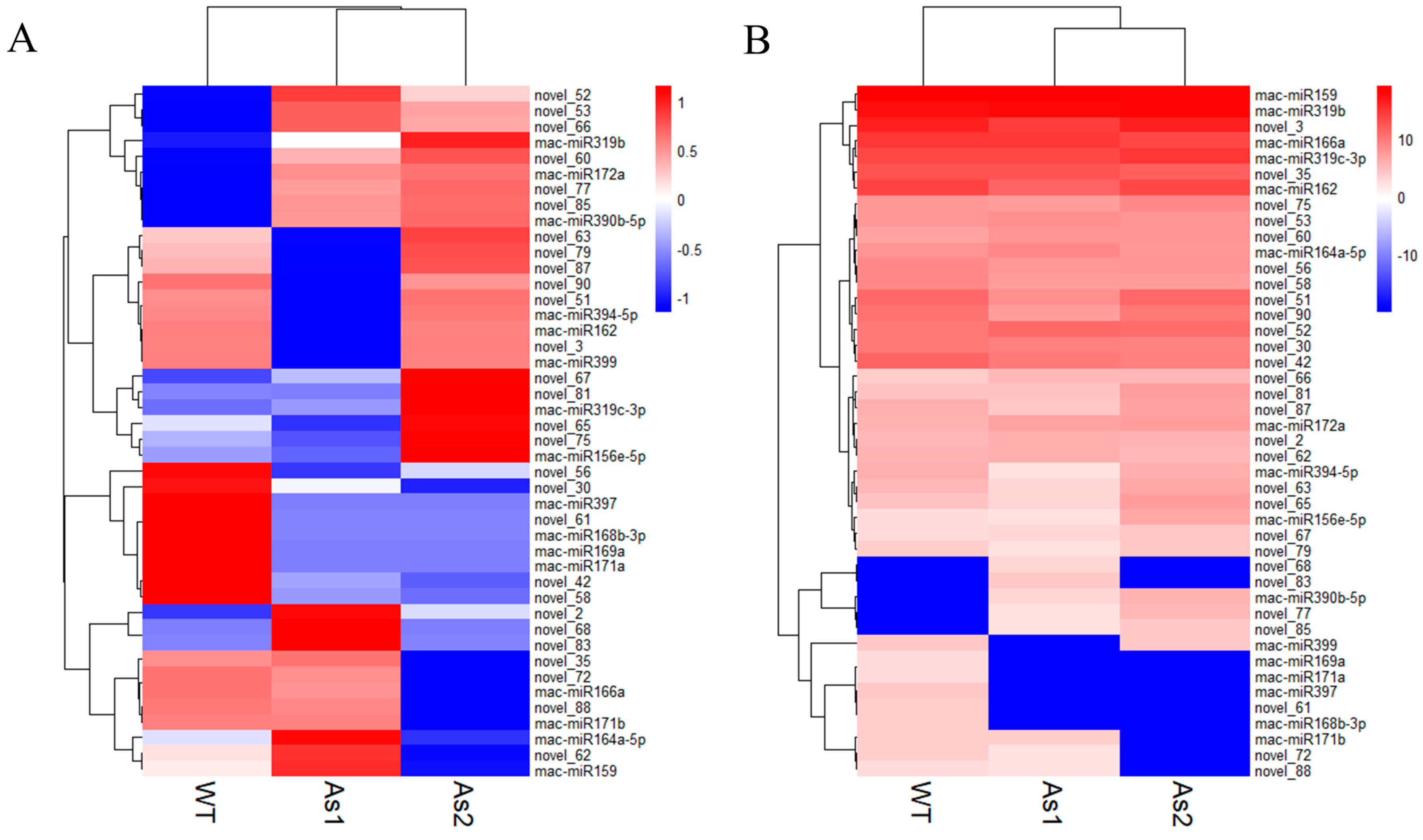 Plants 12 03414 g002