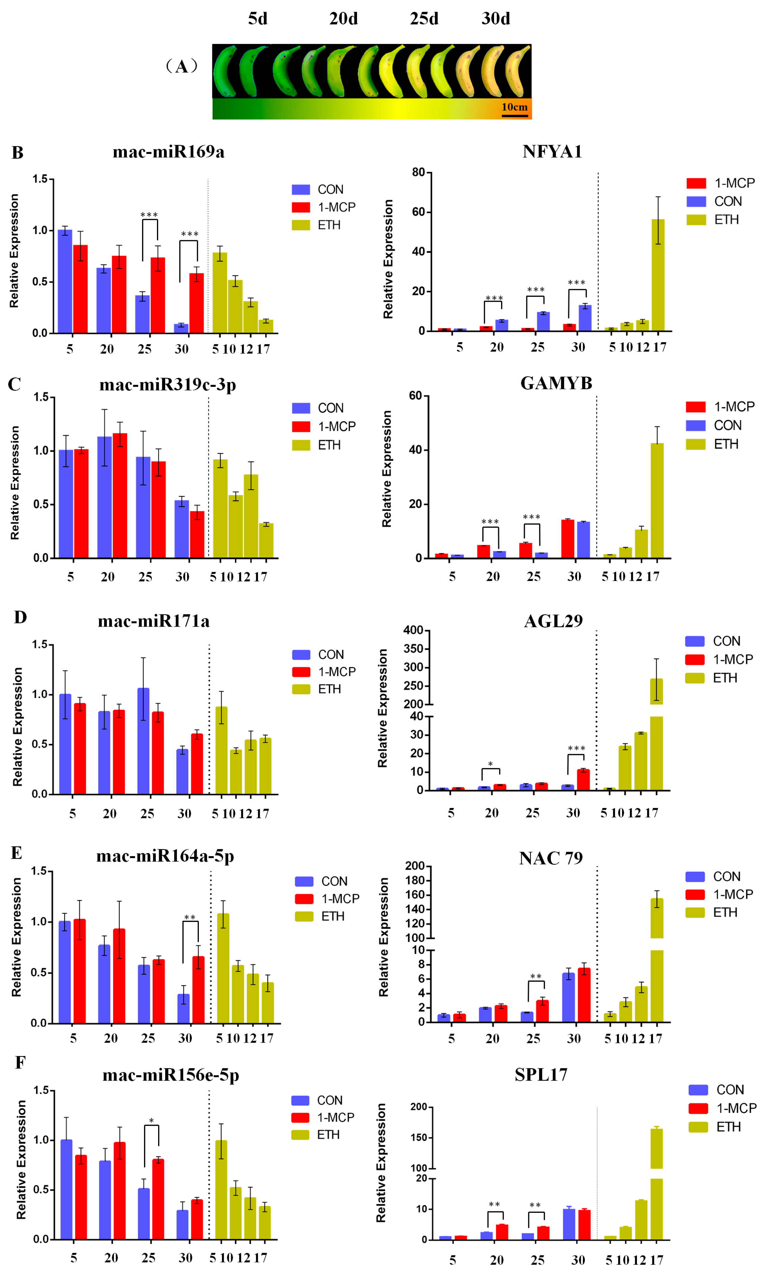 Plants 12 03414 g006