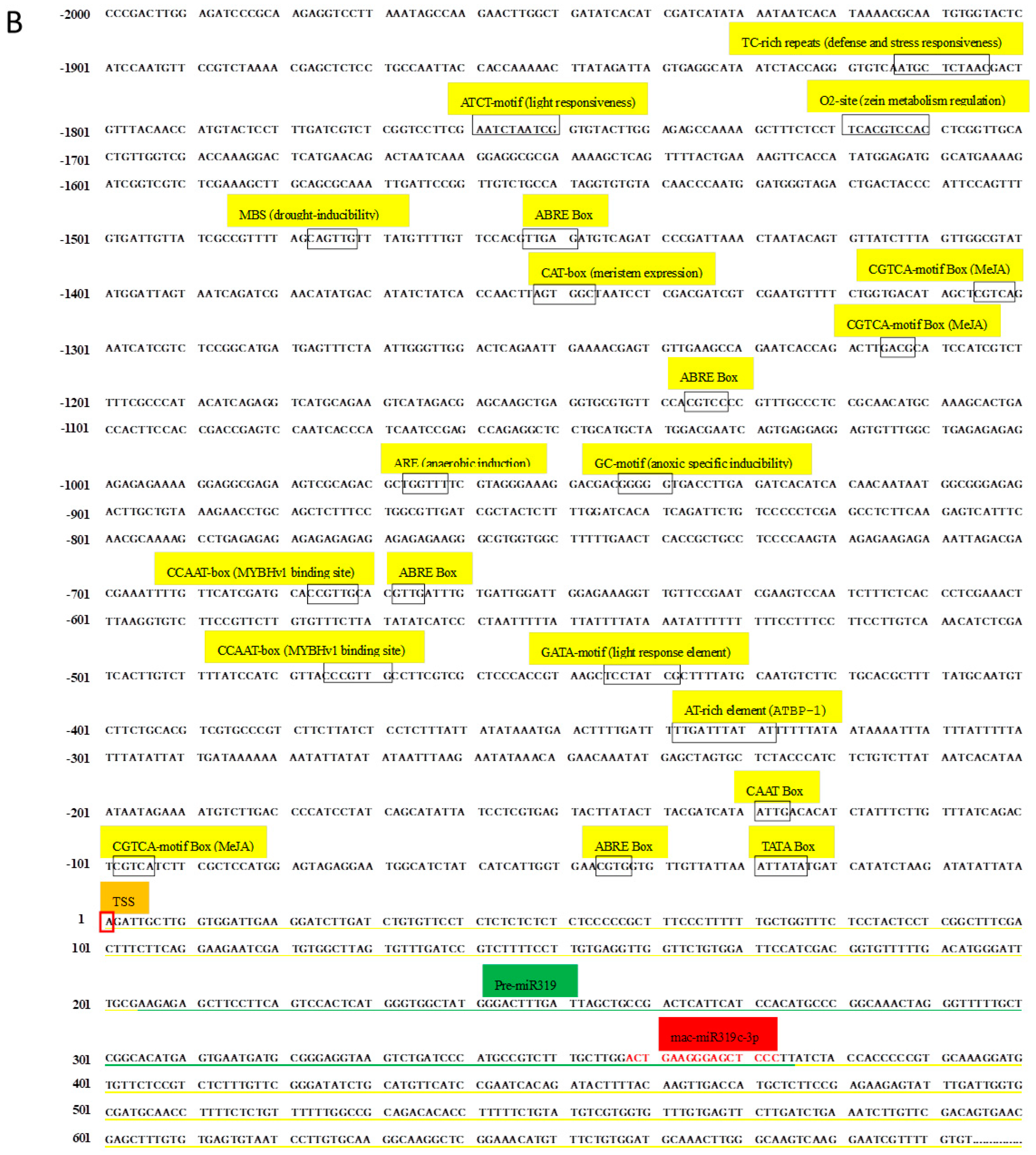 Plants 12 03414 g007b