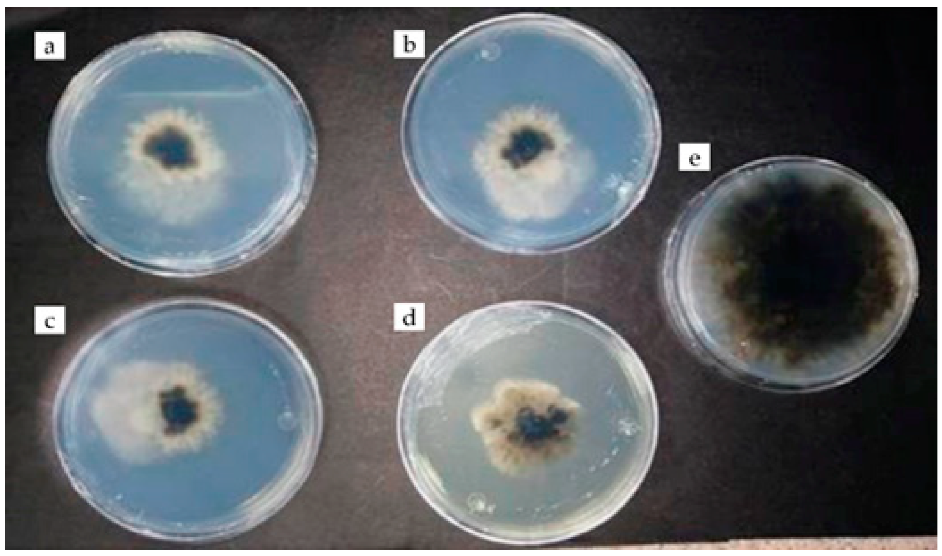 Plants 12 03416 g002 Plants 12 03416 g002