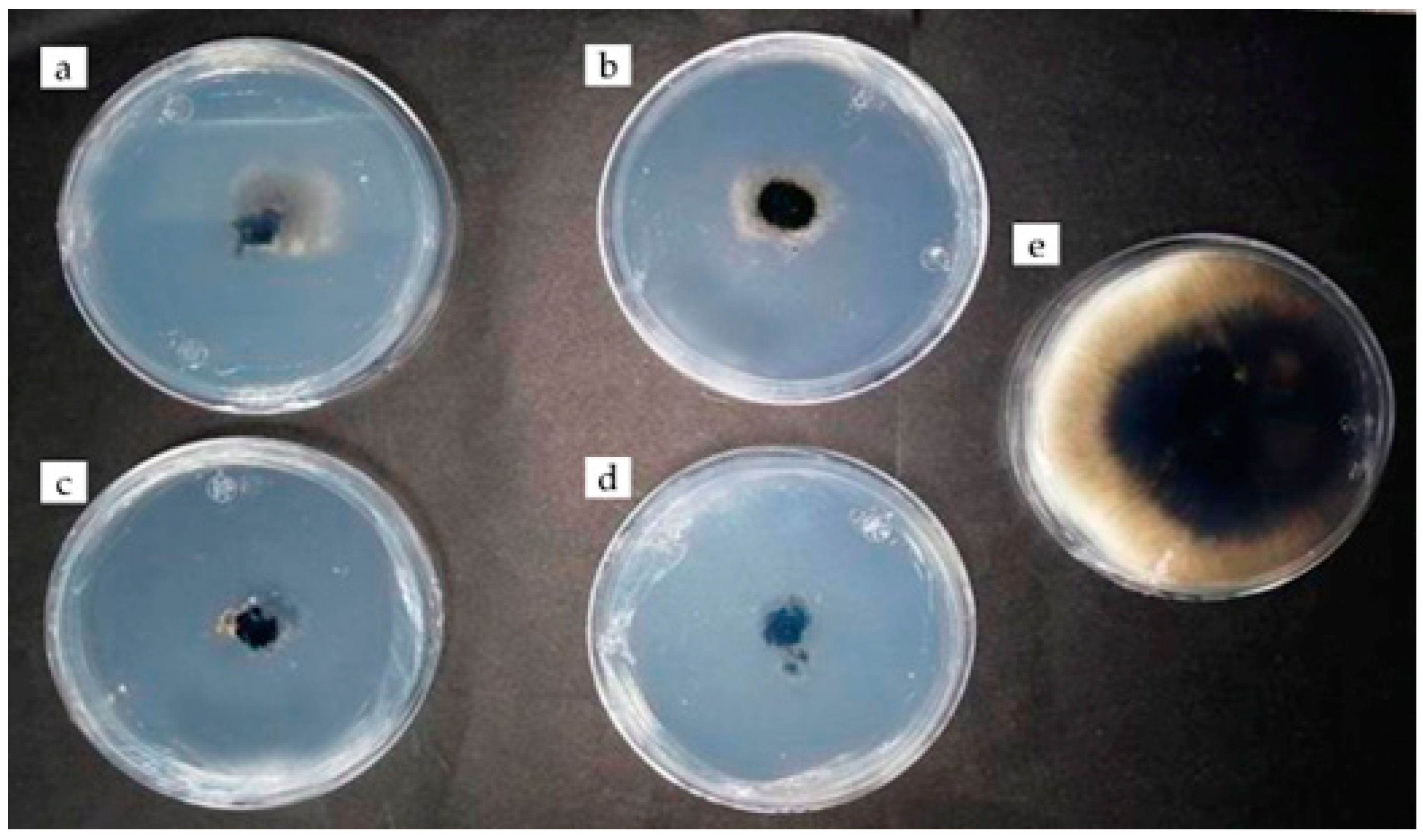 Plants 12 03416 g004 Plants 12 03416 g004