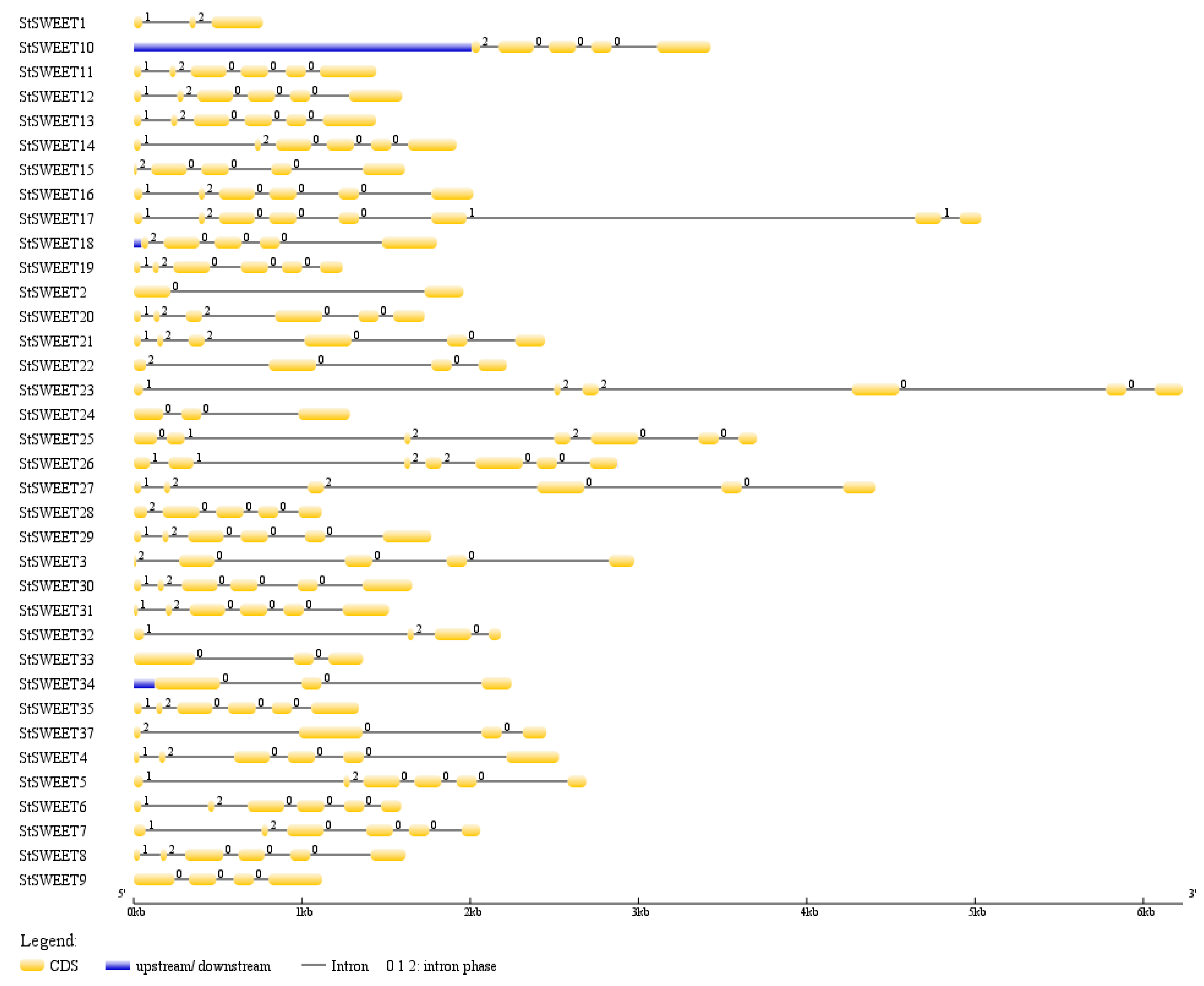 Plants 12 03433 g002