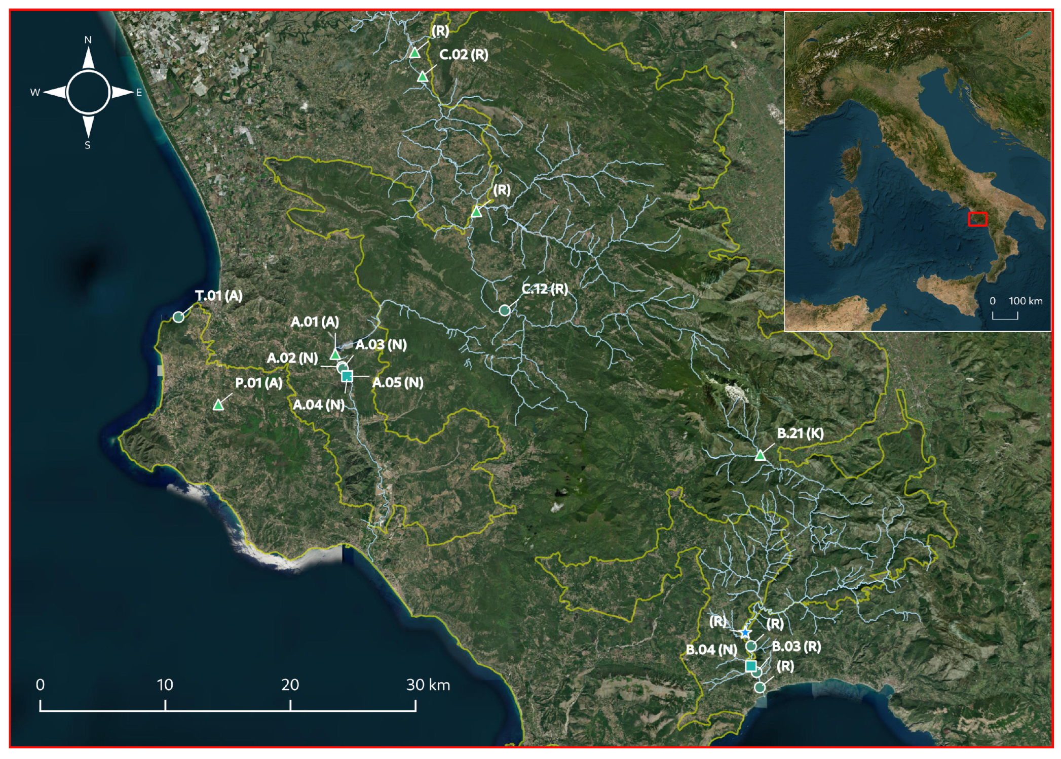 Plants 12 03434 g002