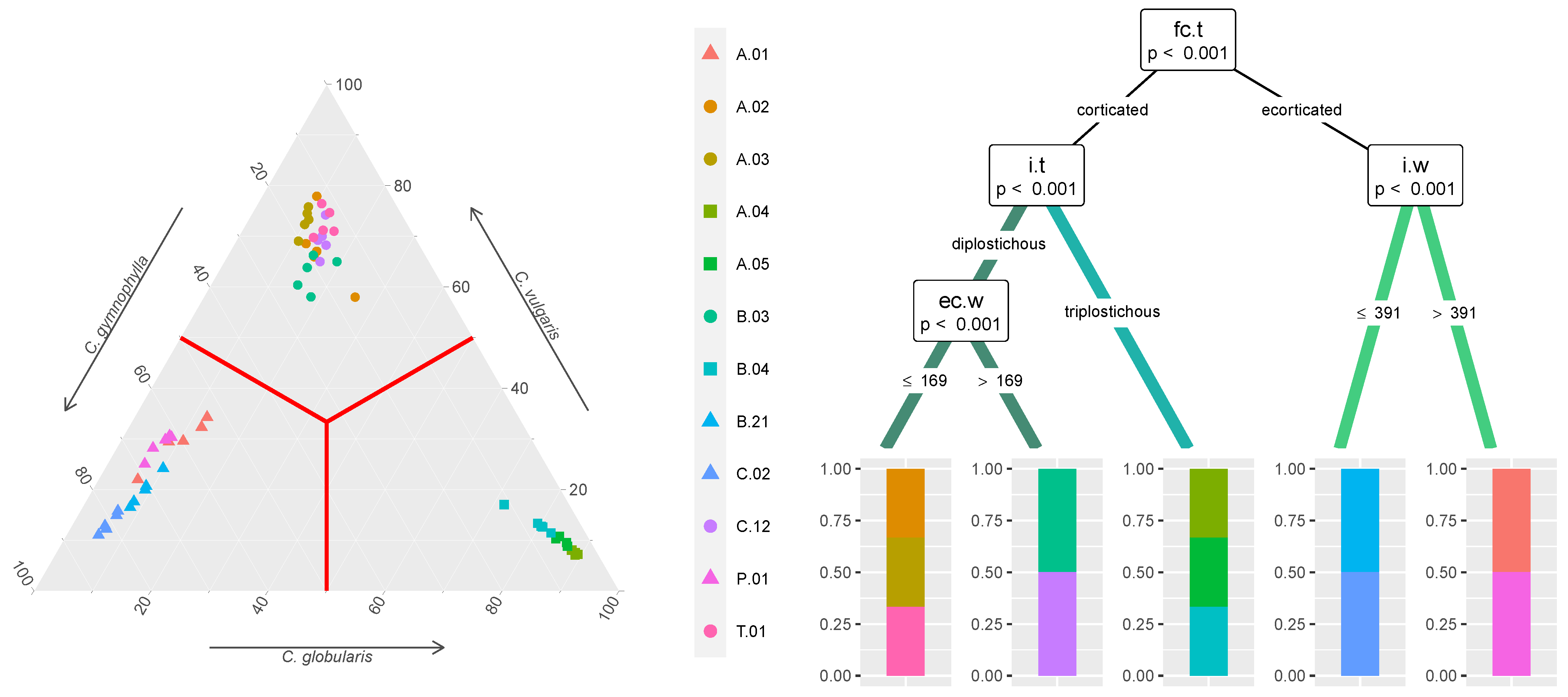 Plants 12 03434 g003