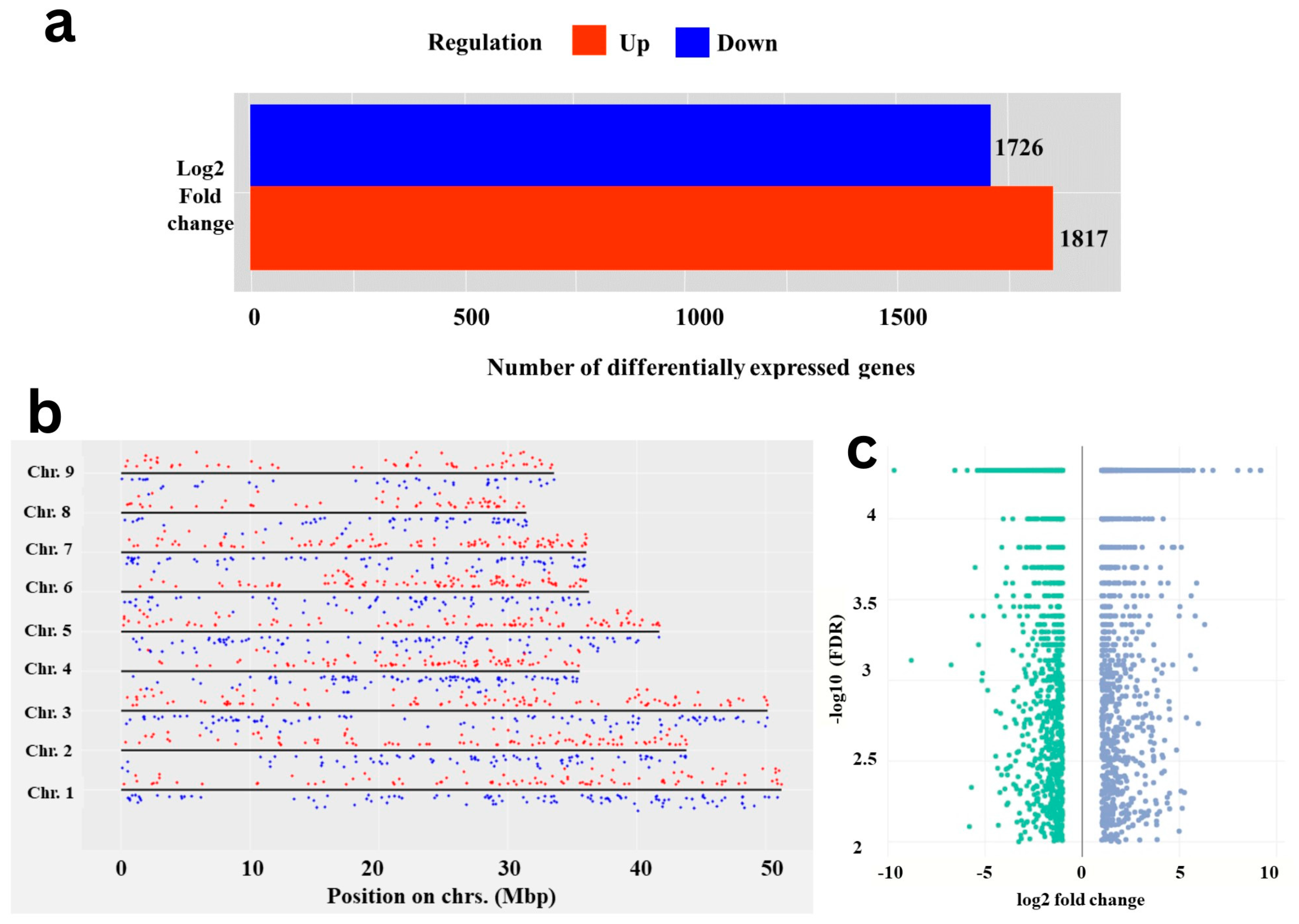 Plants 12 03449 g001