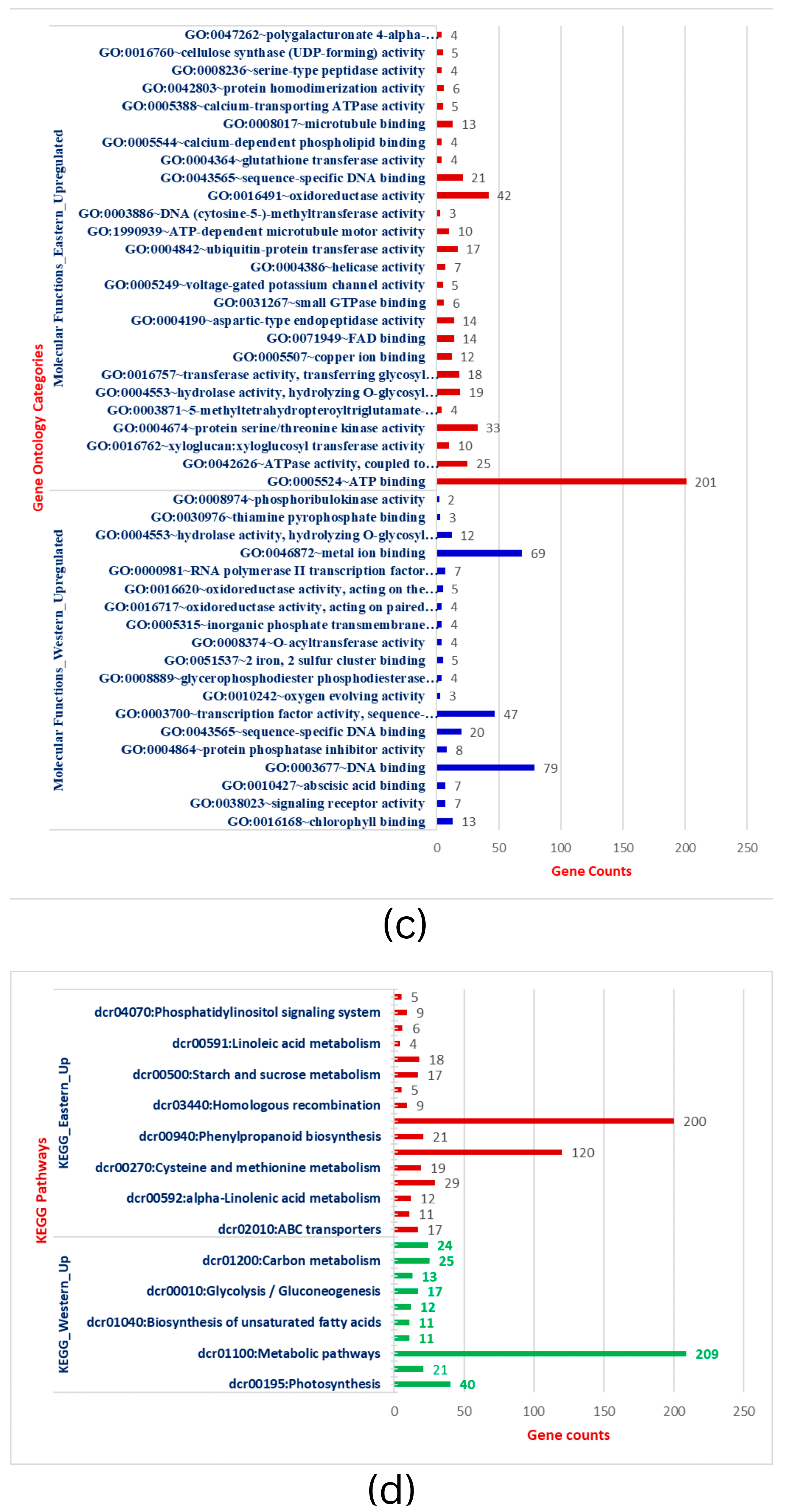 Plants 12 03449 g002b