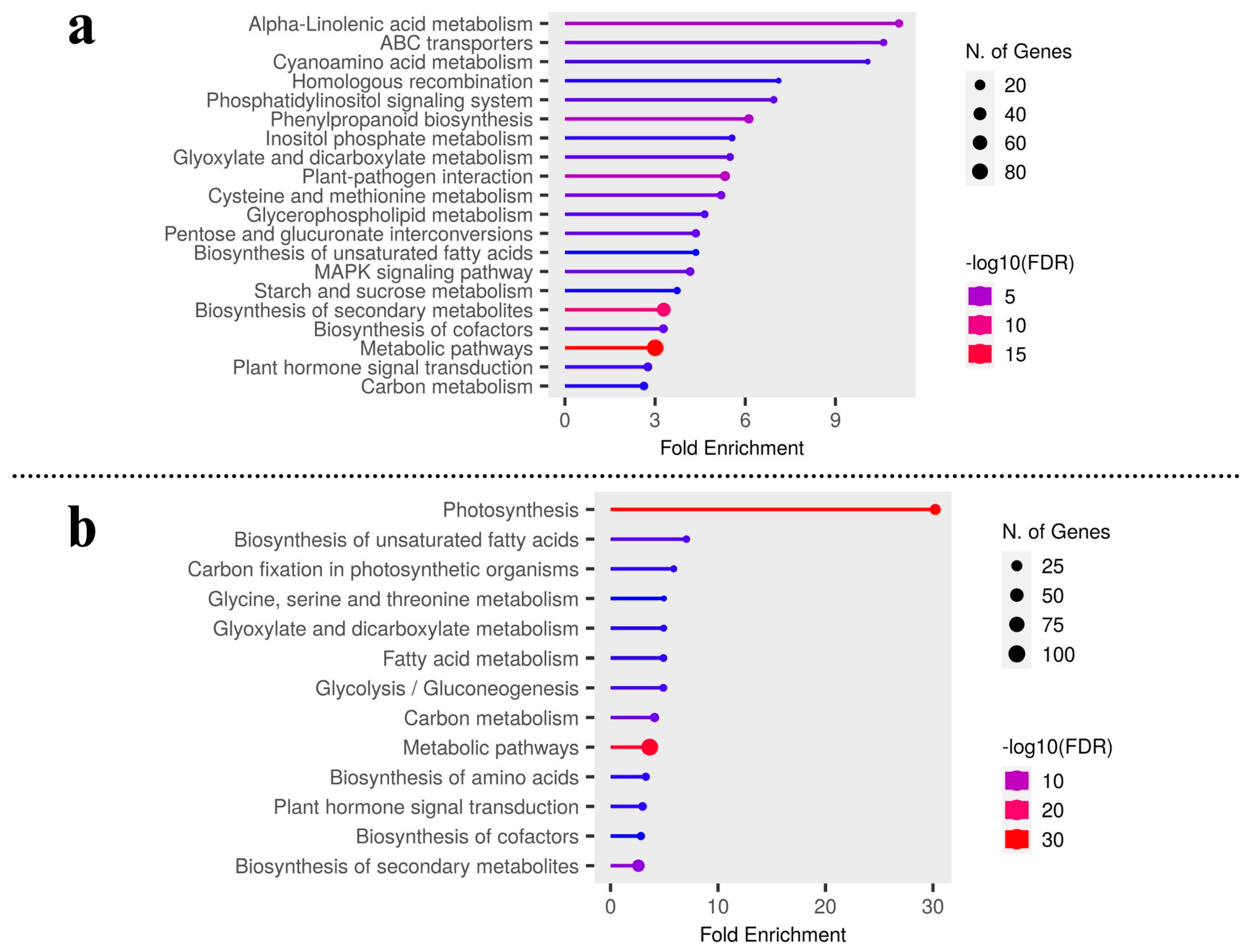 Plants 12 03449 g003