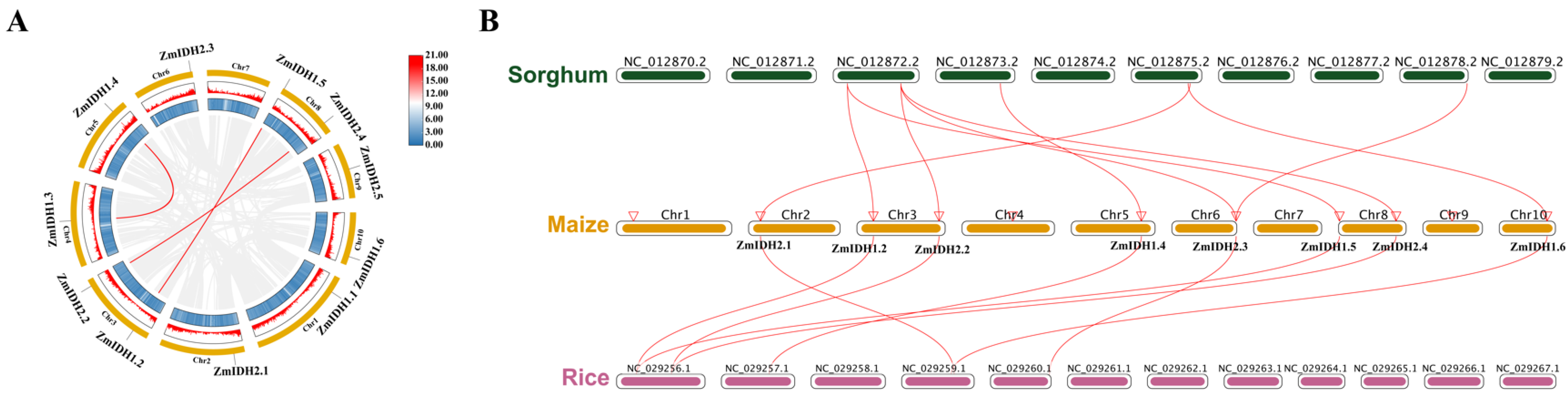 Plants 12 03466 g003