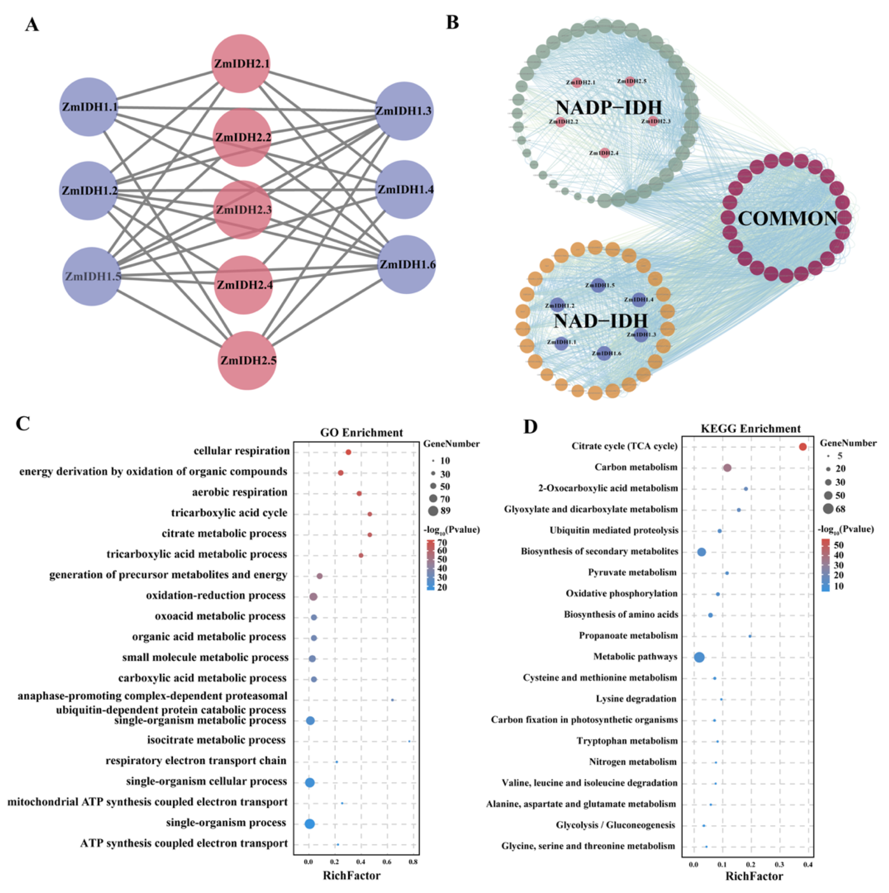 Plants 12 03466 g005