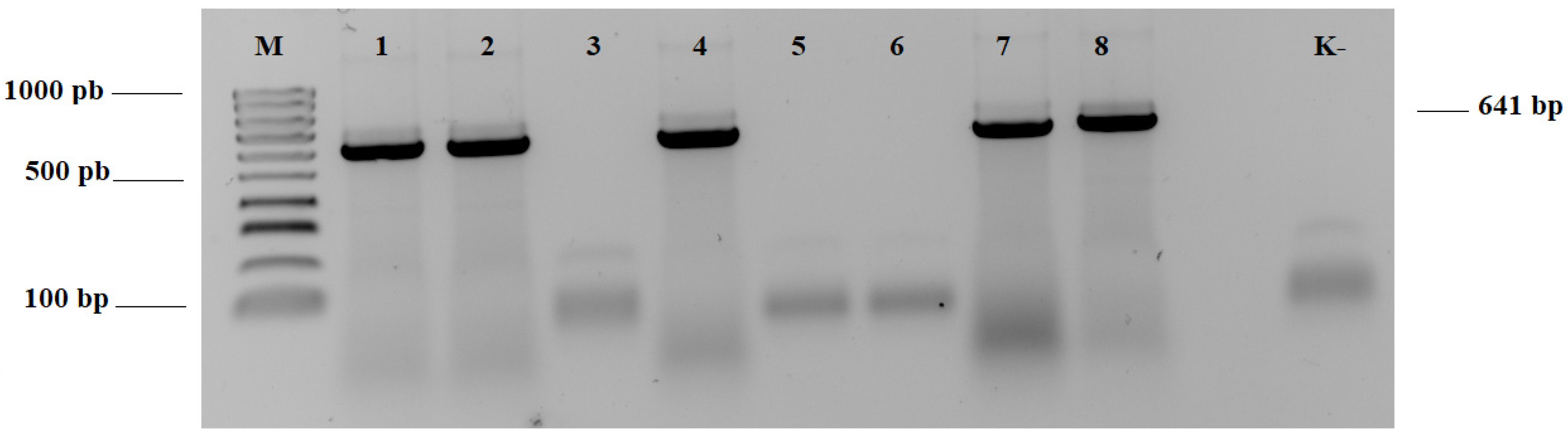 Plants 12 03488 g002