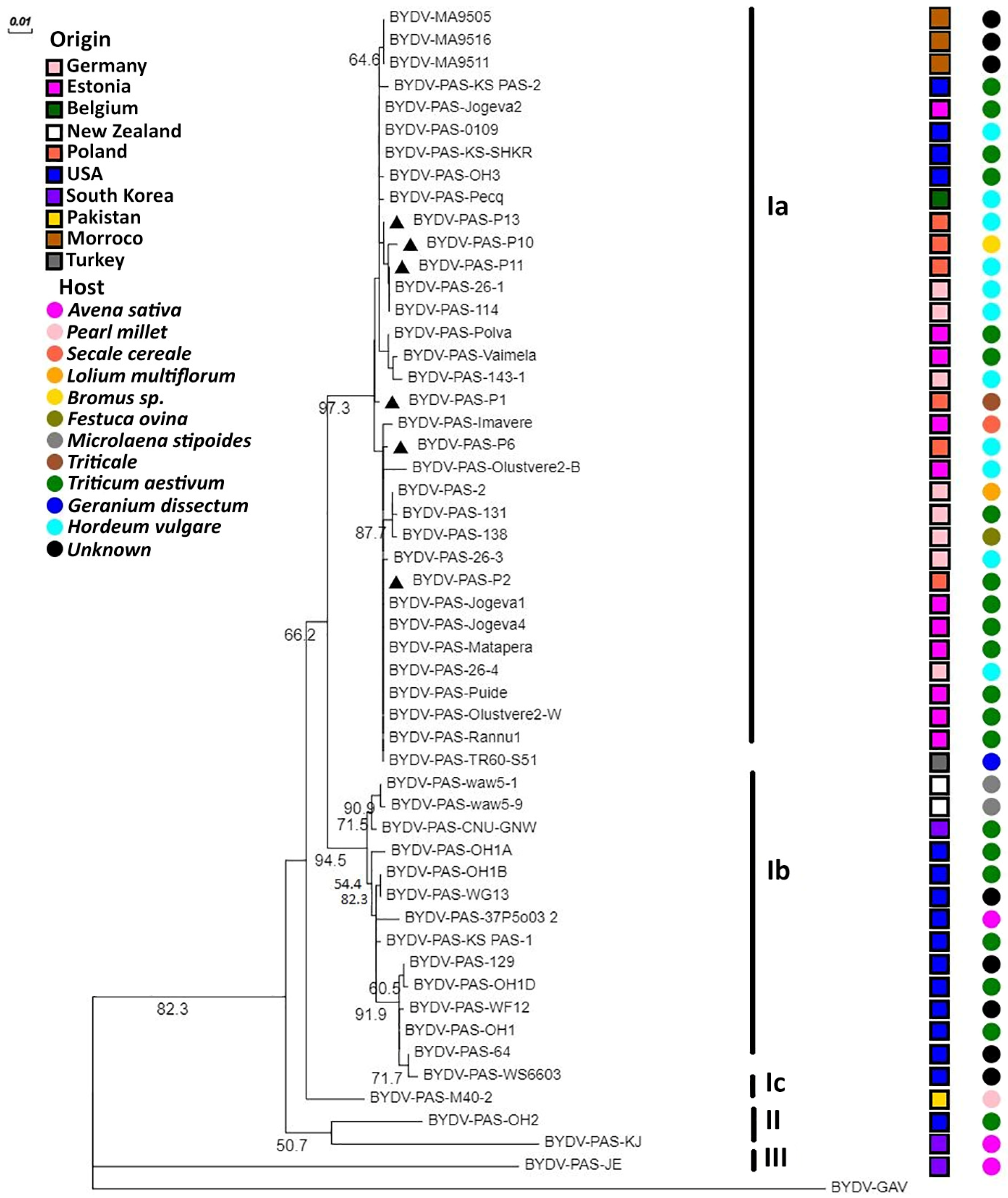 Plants 12 03488 g006