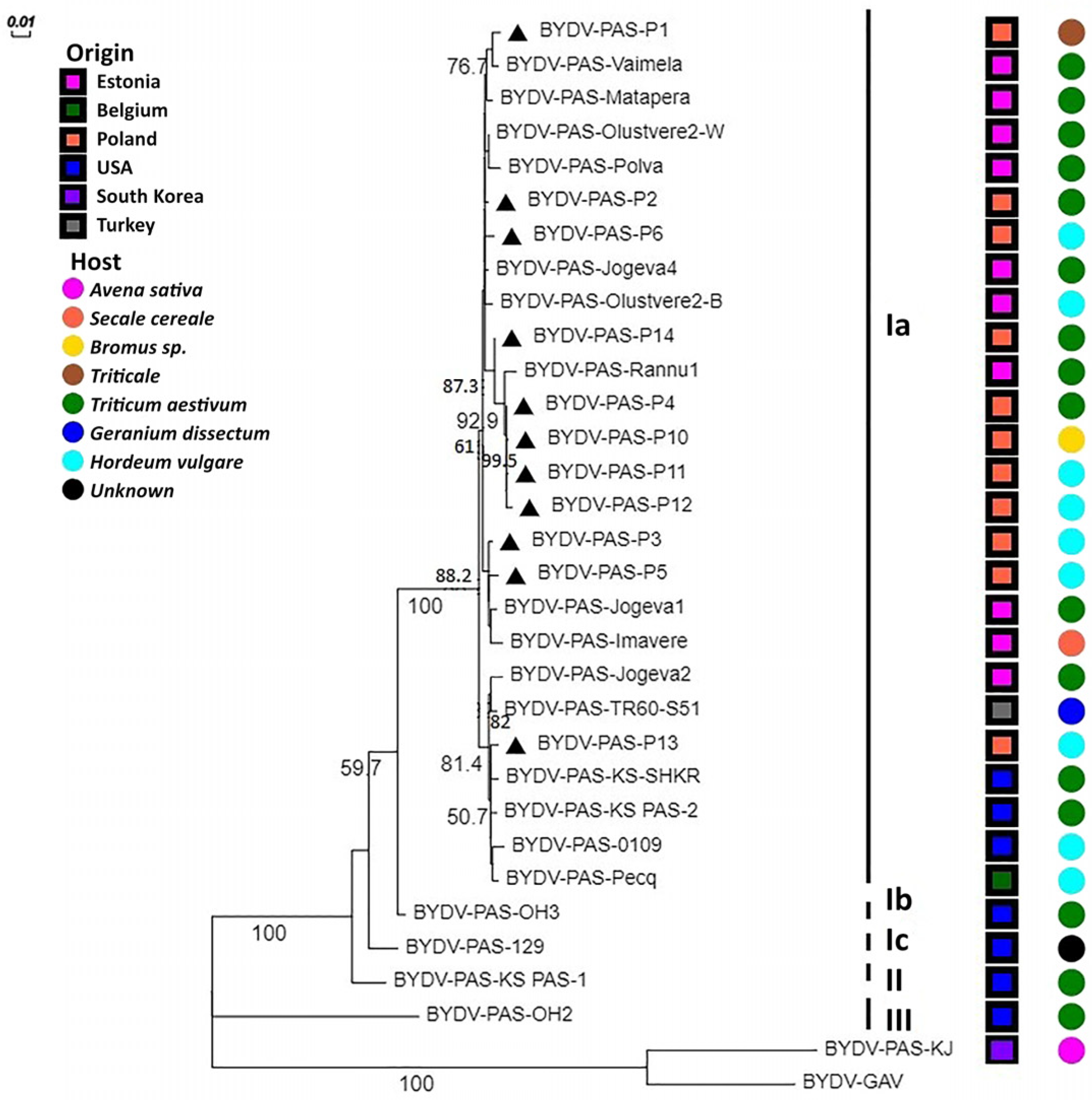 Plants 12 03488 g007