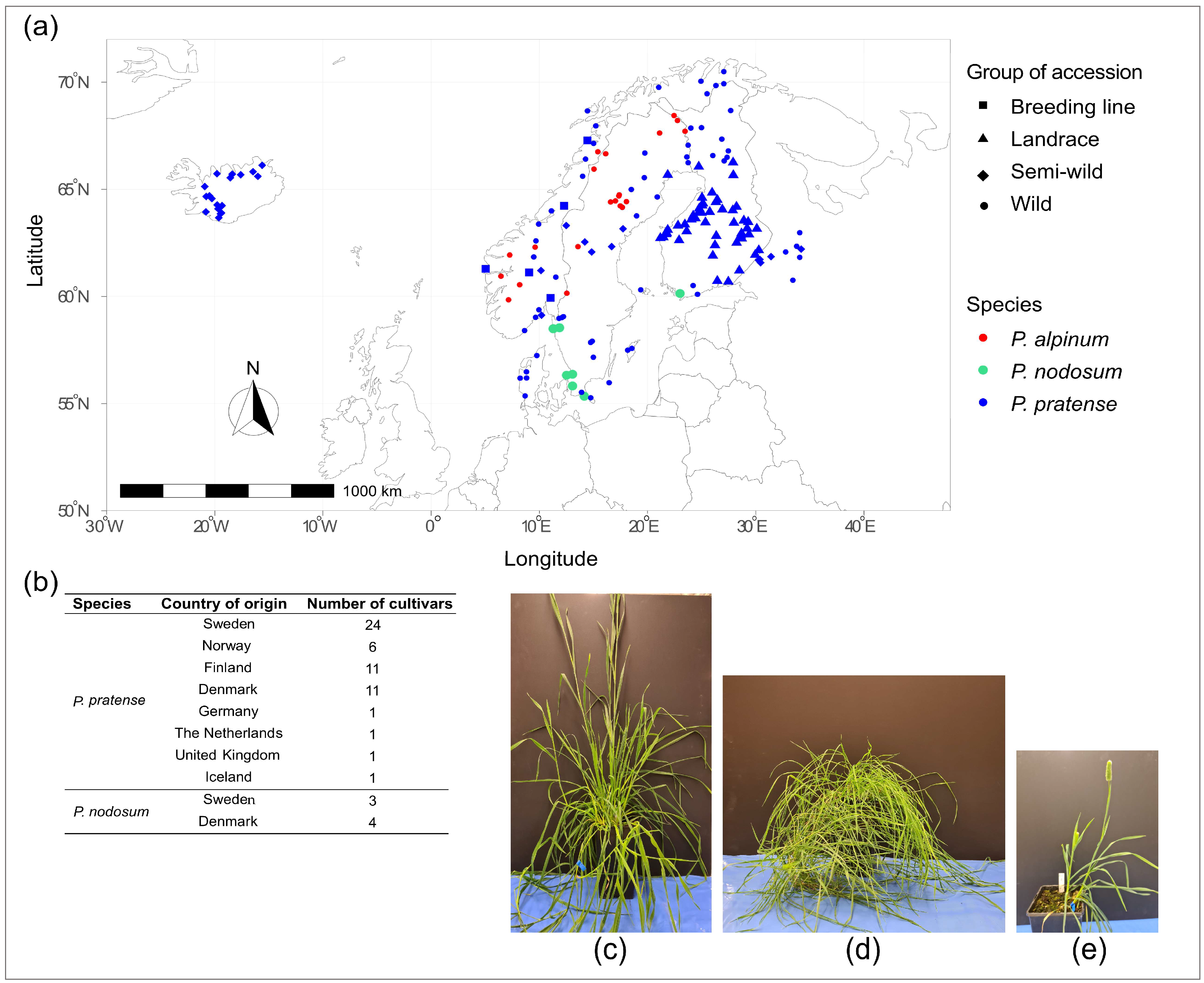 Plants 12 03494 g008