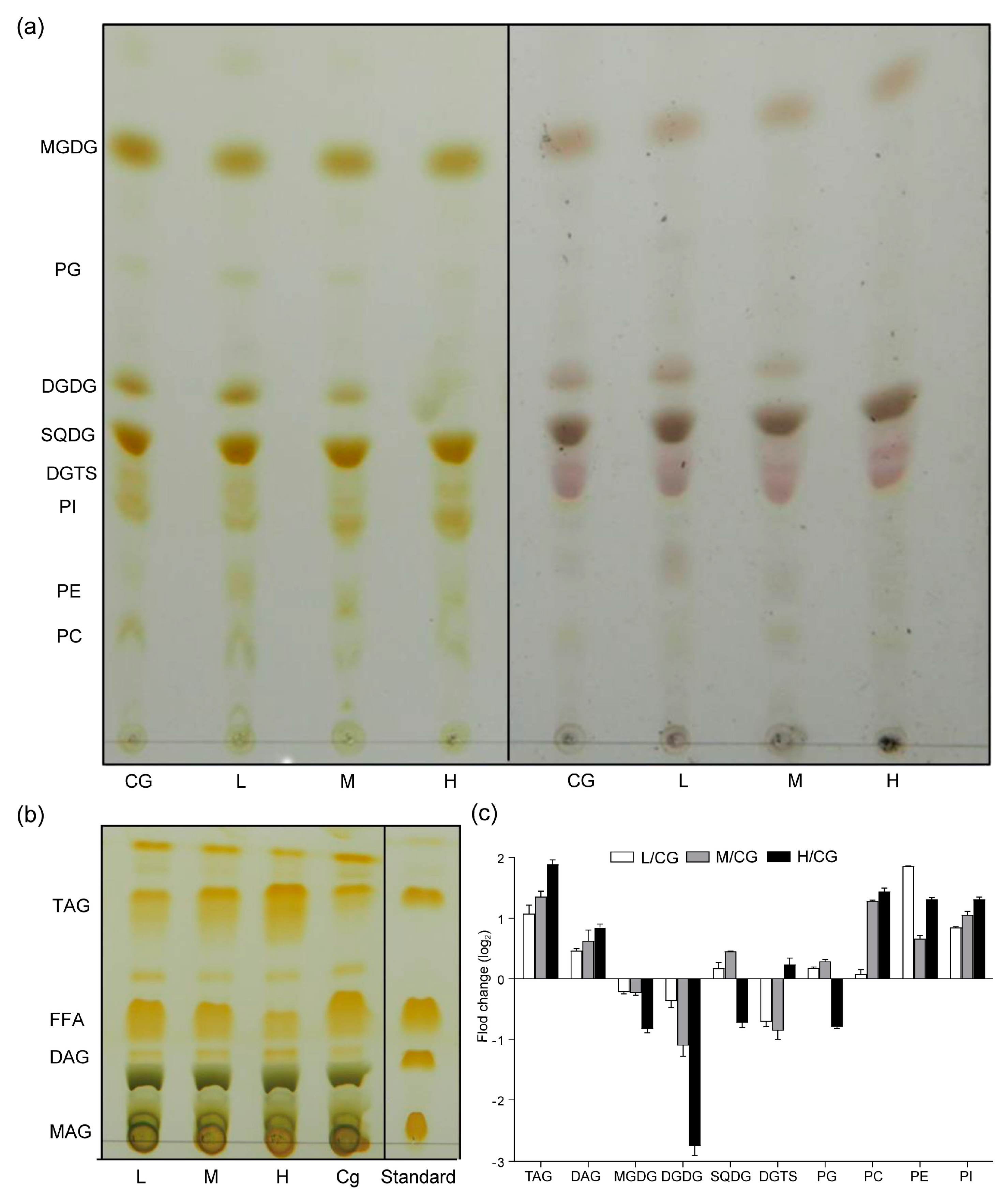 Plants 12 03495 g002