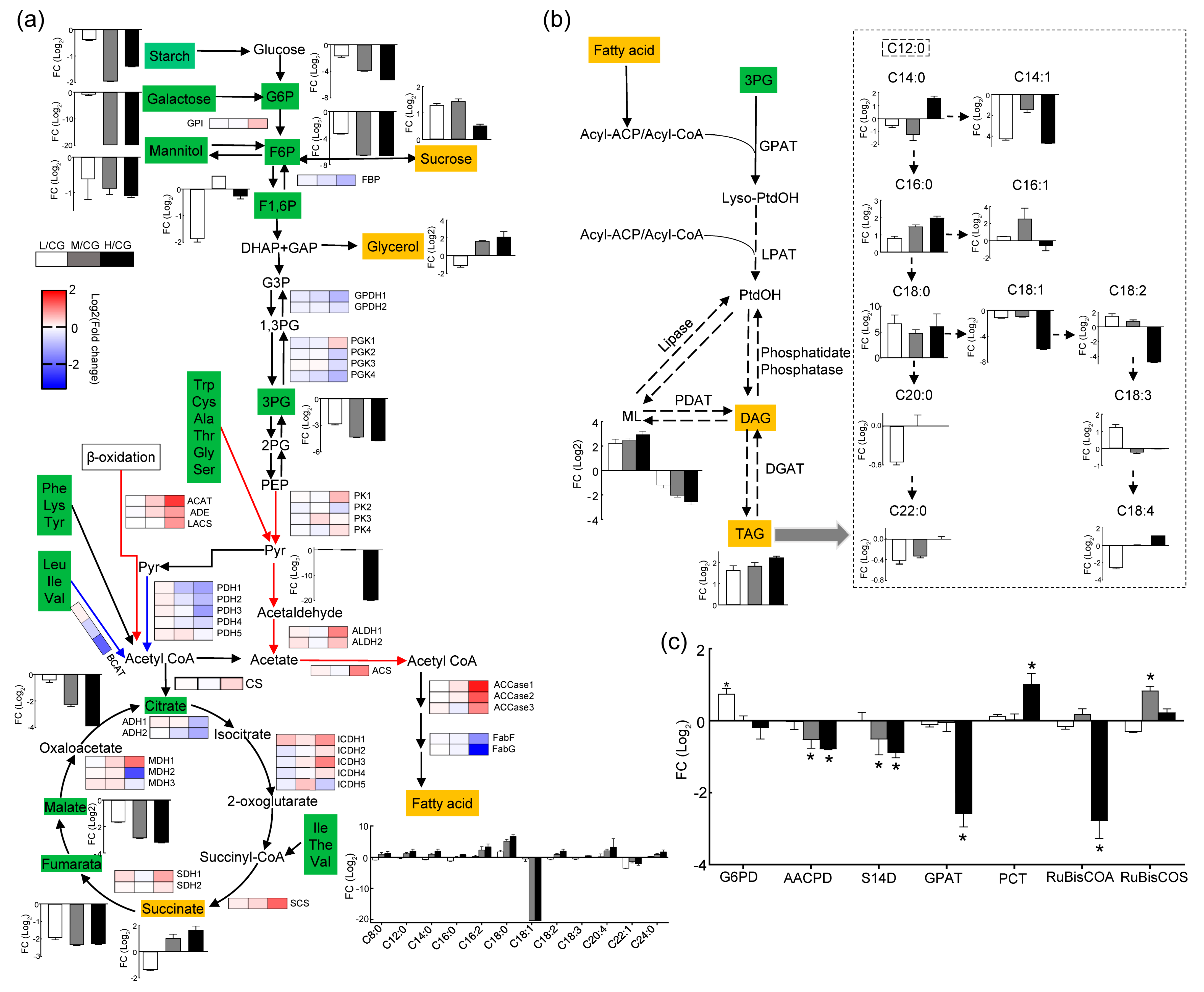 Plants 12 03495 g005