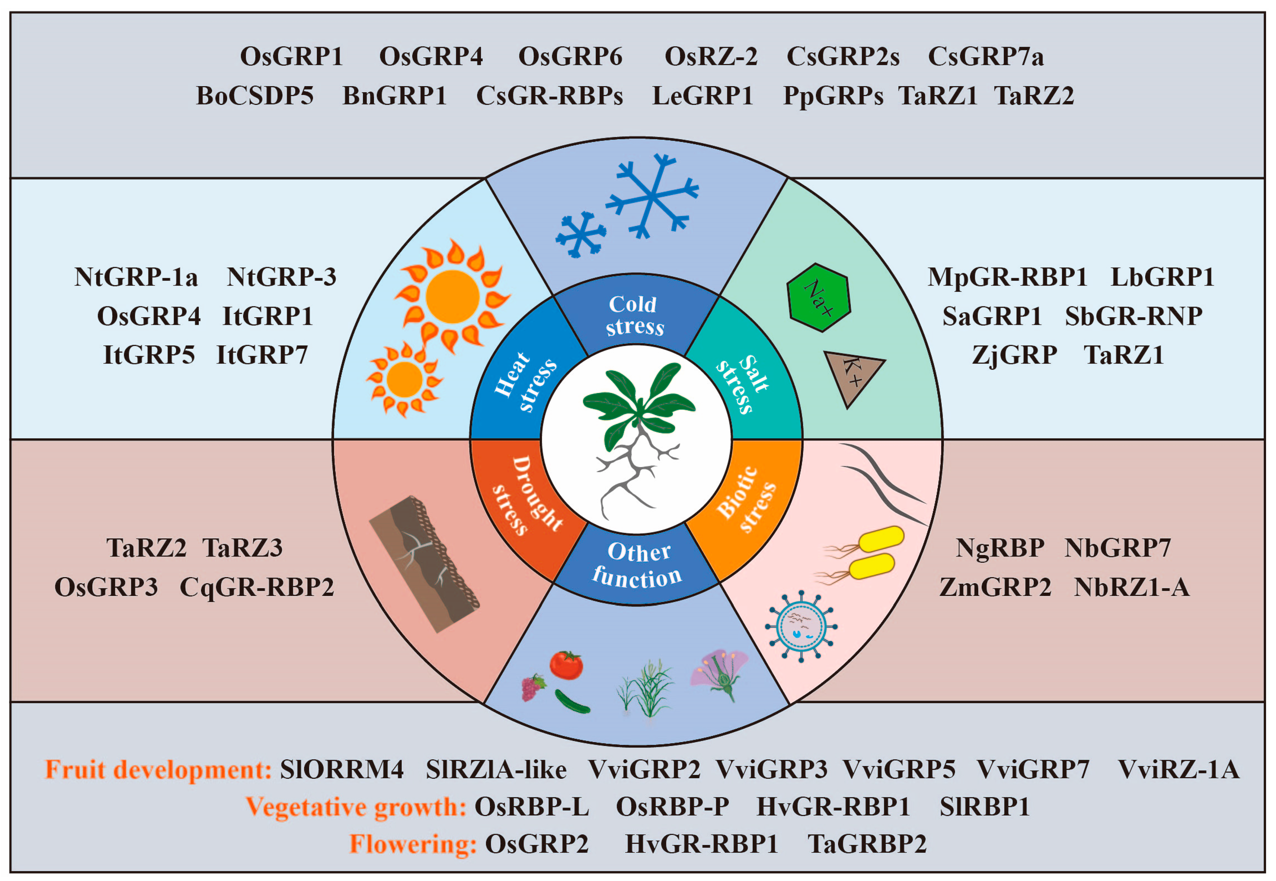 Plants 12 03504 g006