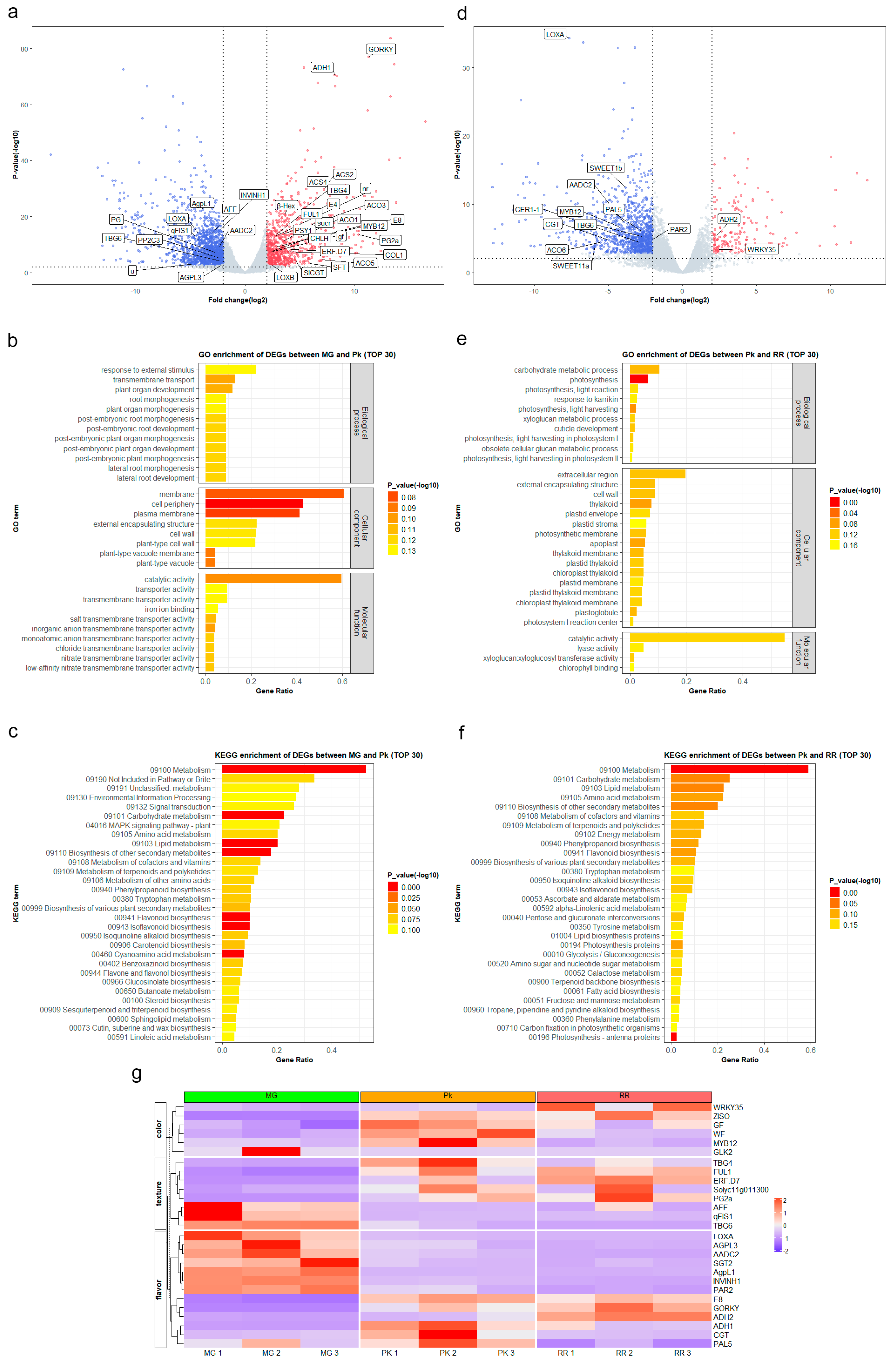 Plants 12 03505 g002