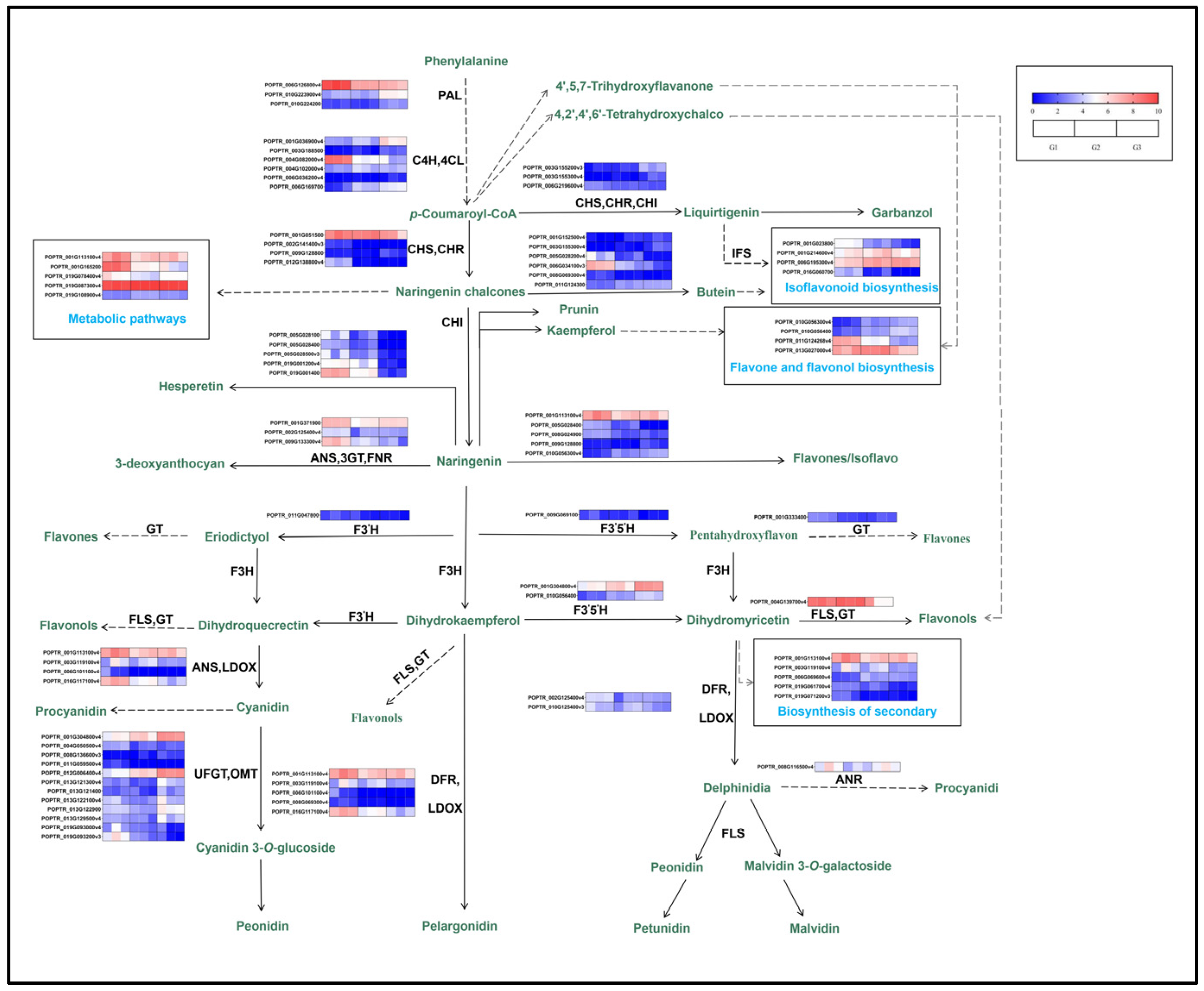 Plants 12 03511 g008
