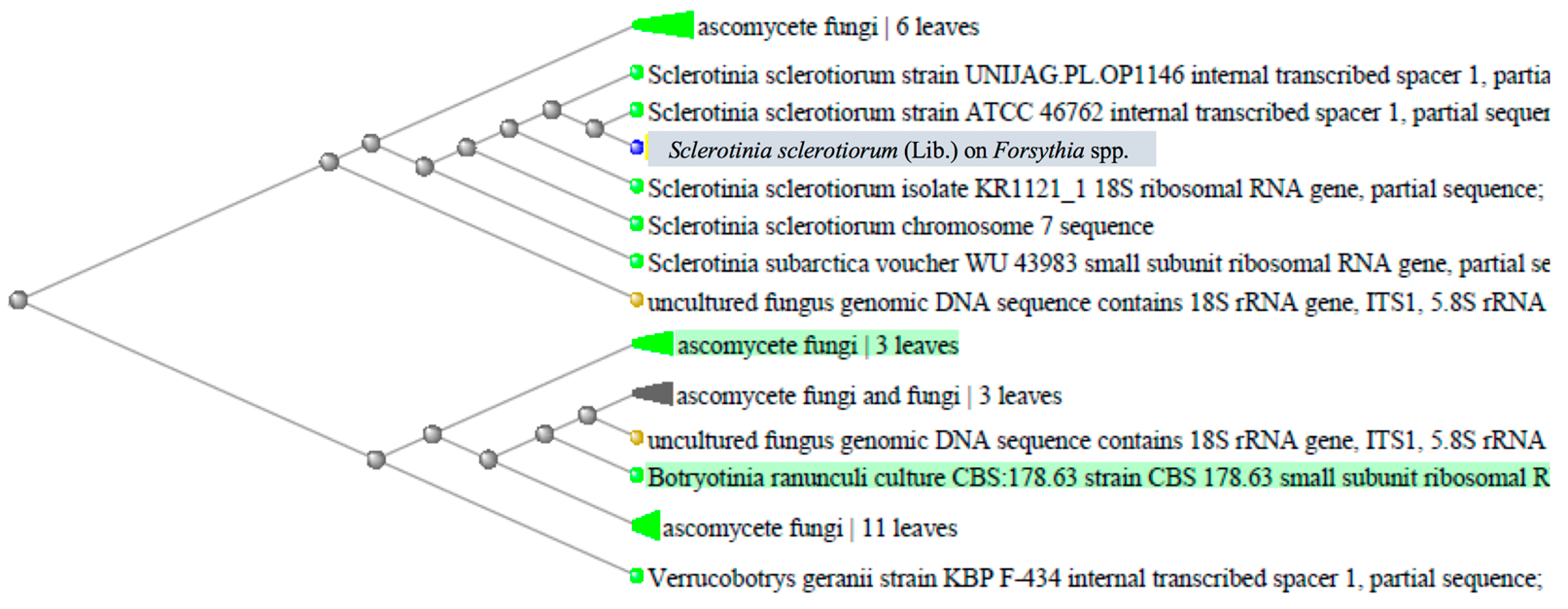 Plants 12 03516 g004