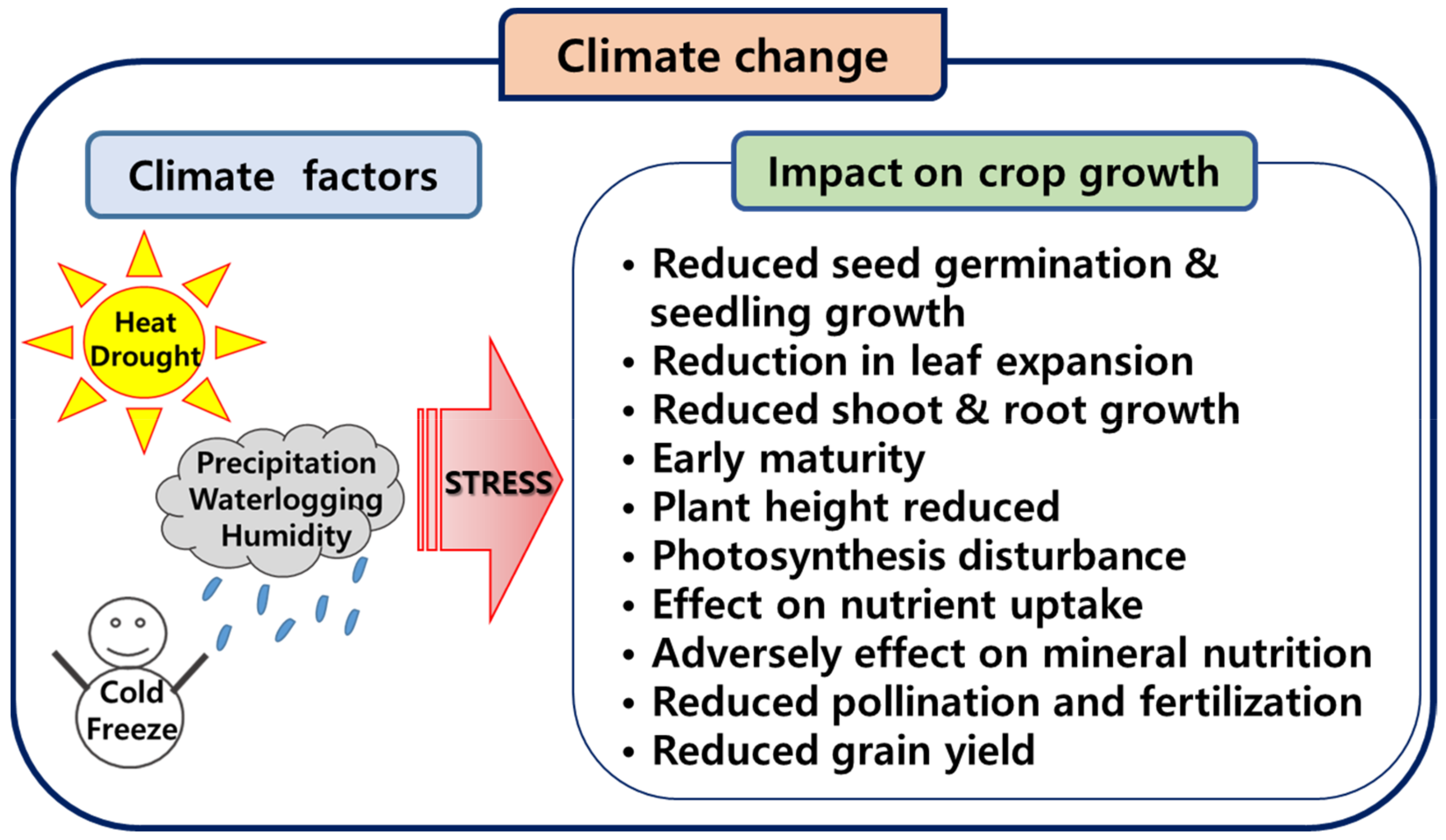 Plants 12 03548 g001