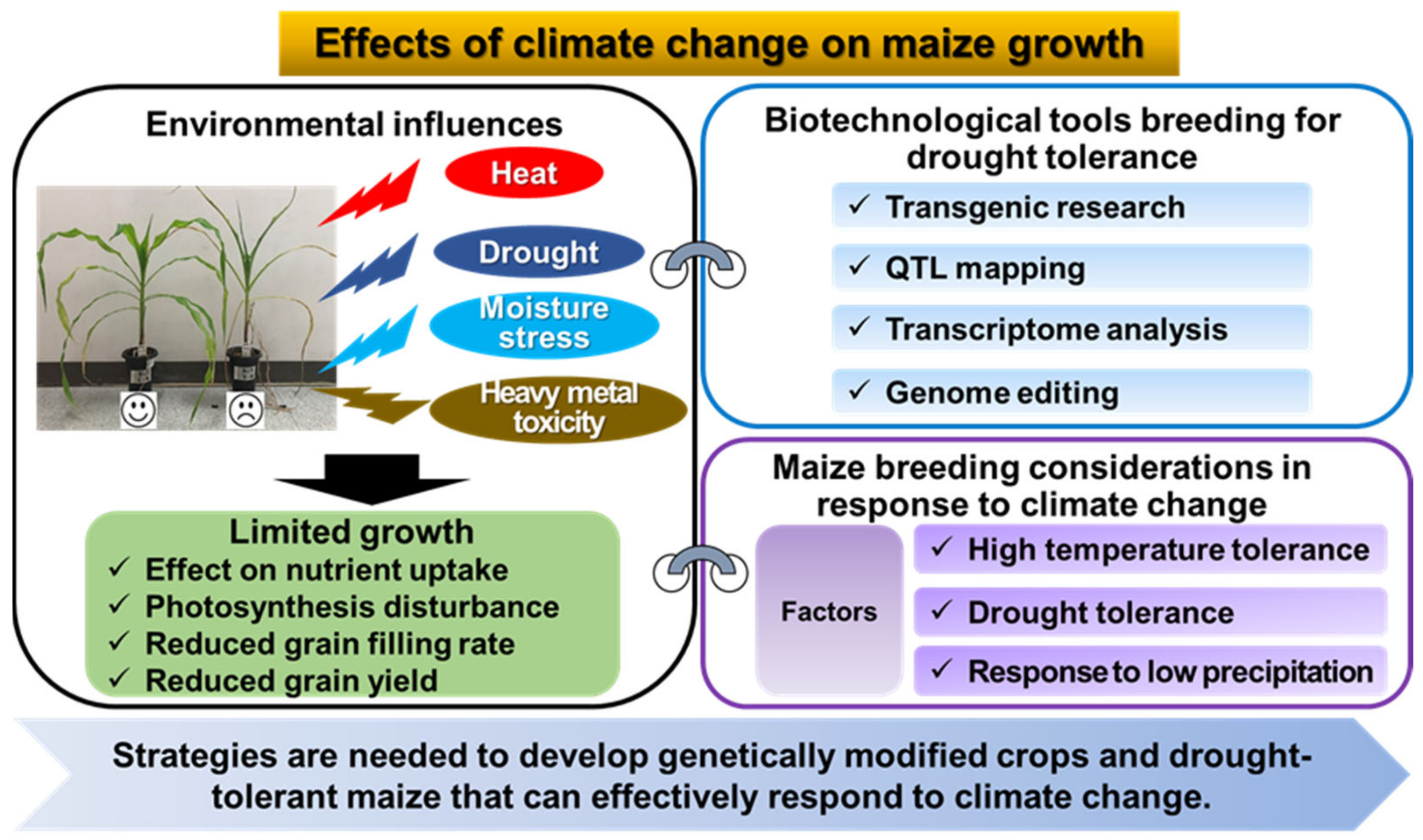 Plants 12 03548 g002