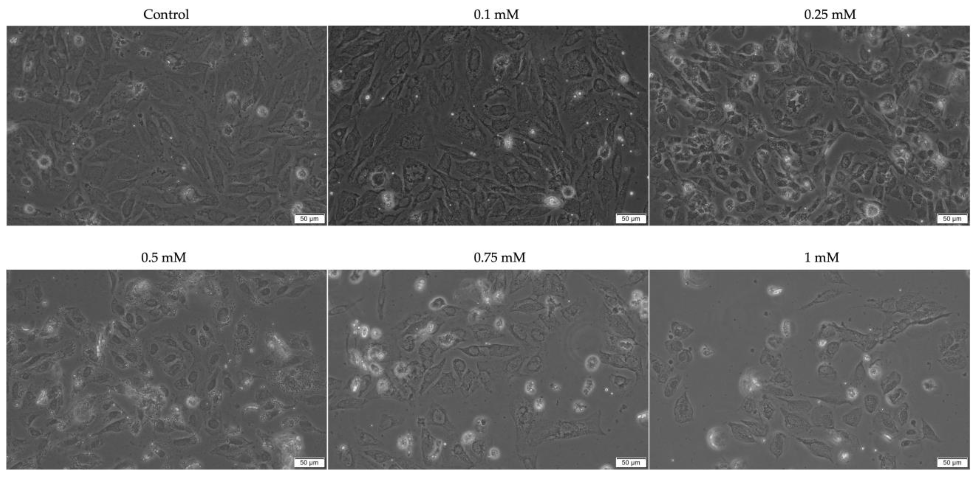 Plants 12 03549 g002