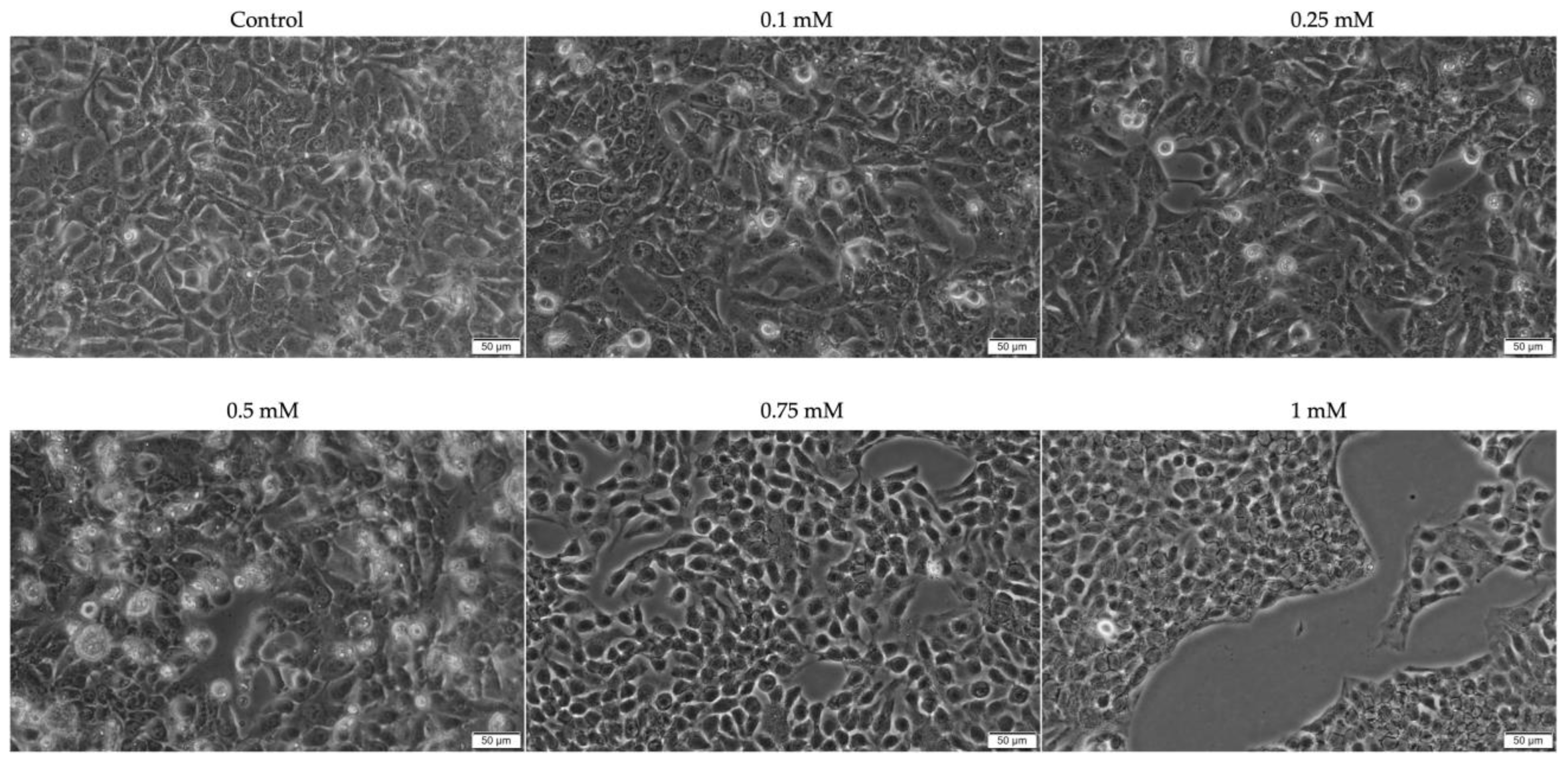 Plants 12 03549 g003