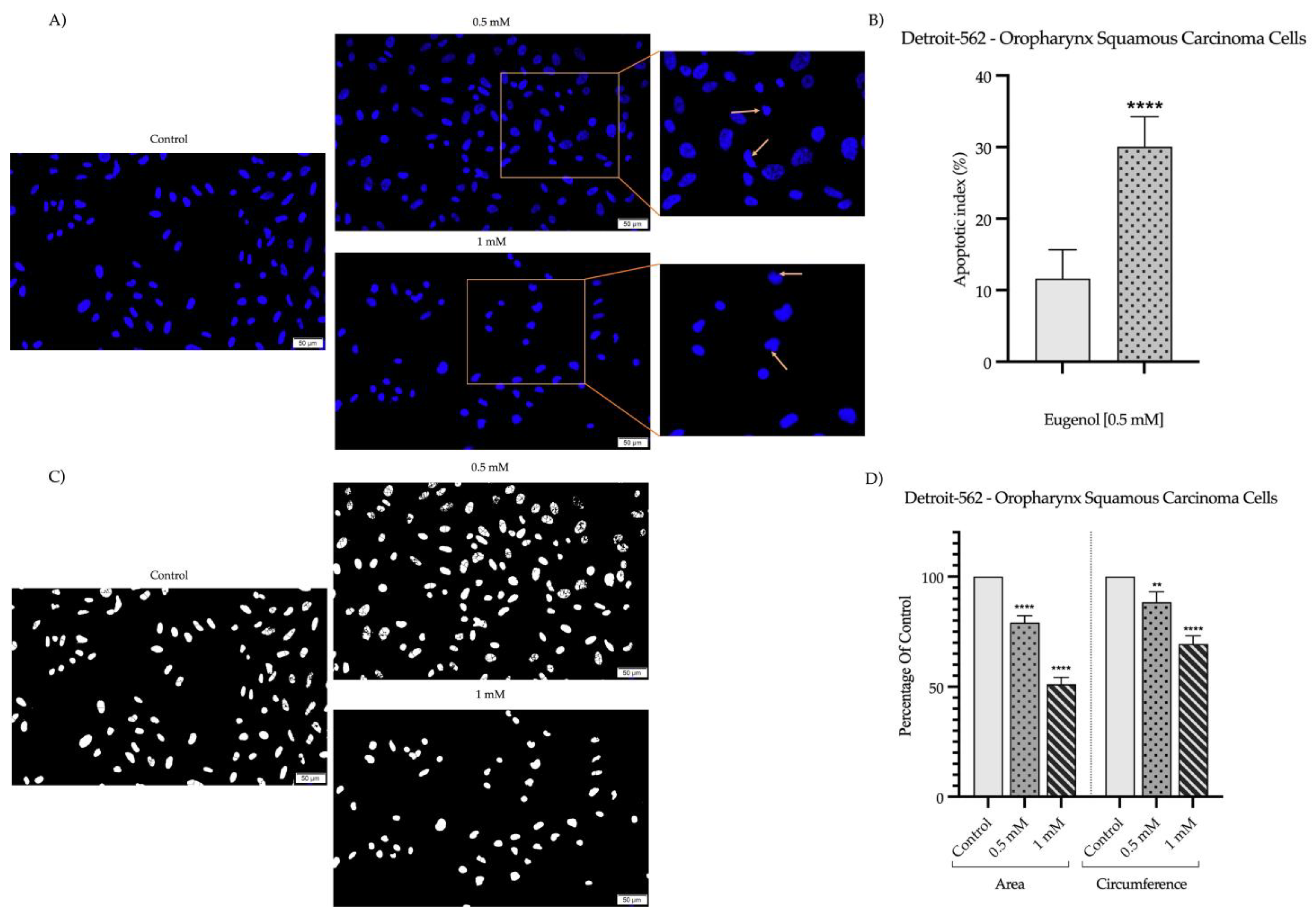 Plants 12 03549 g005