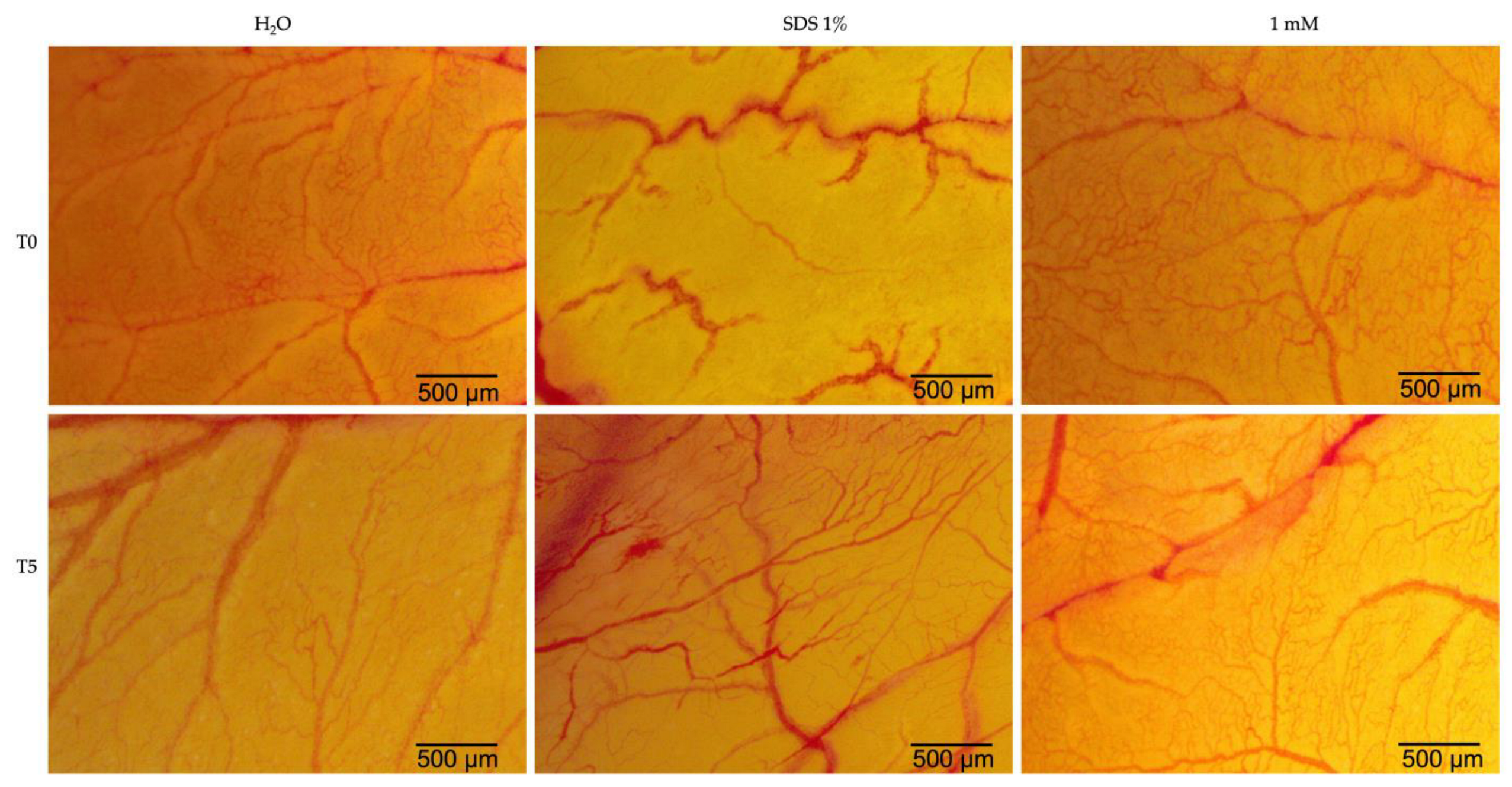 Plants 12 03549 g011