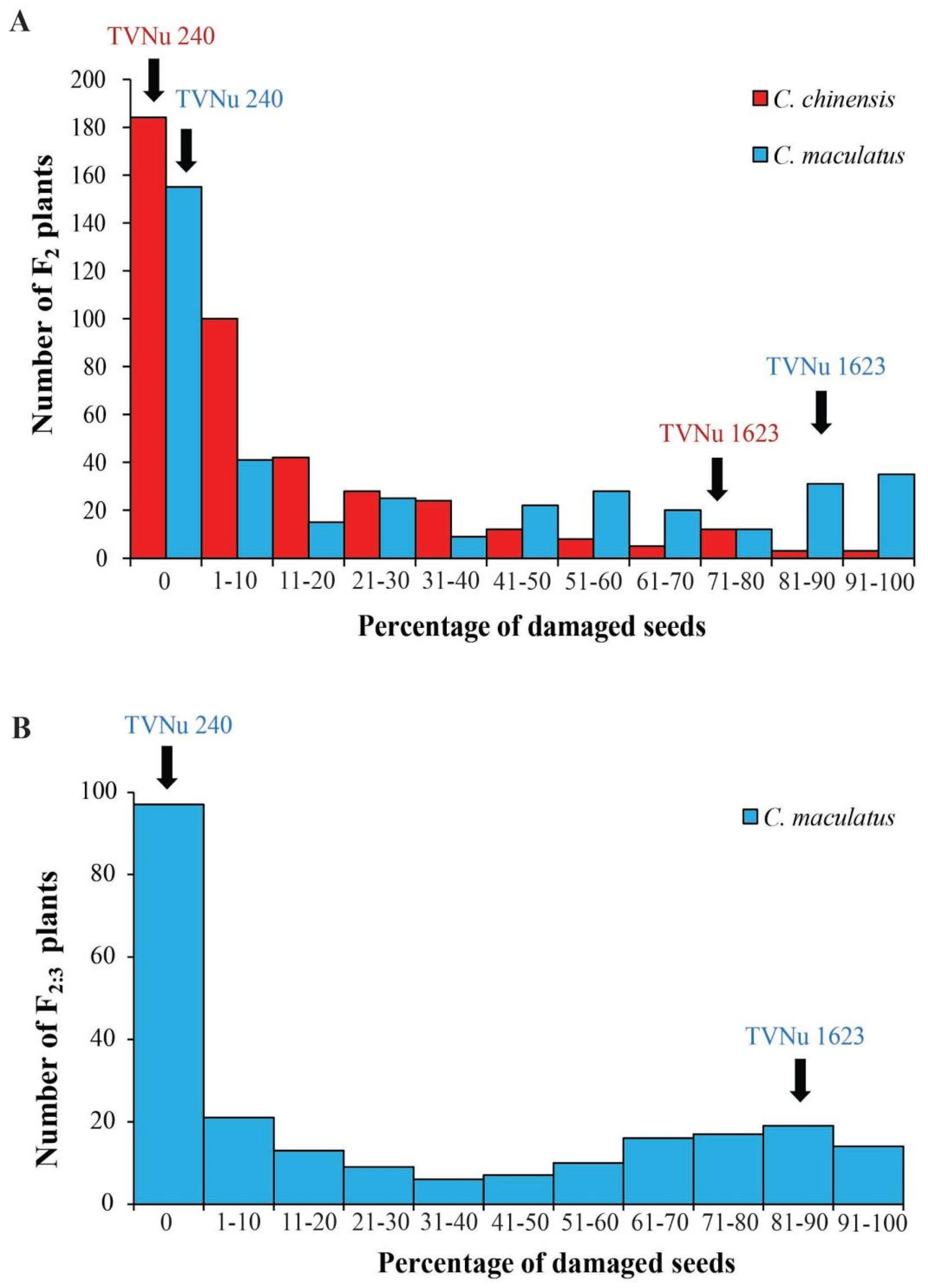 Plants 12 03602 g001
