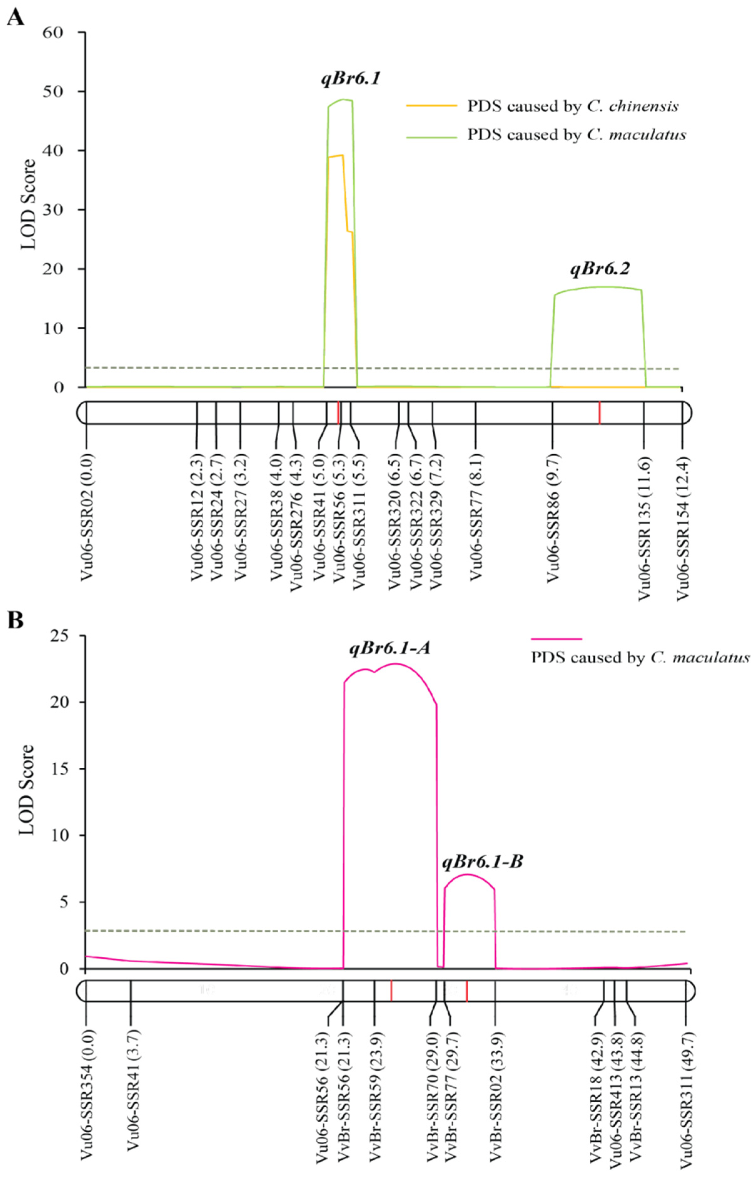 Plants 12 03602 g002