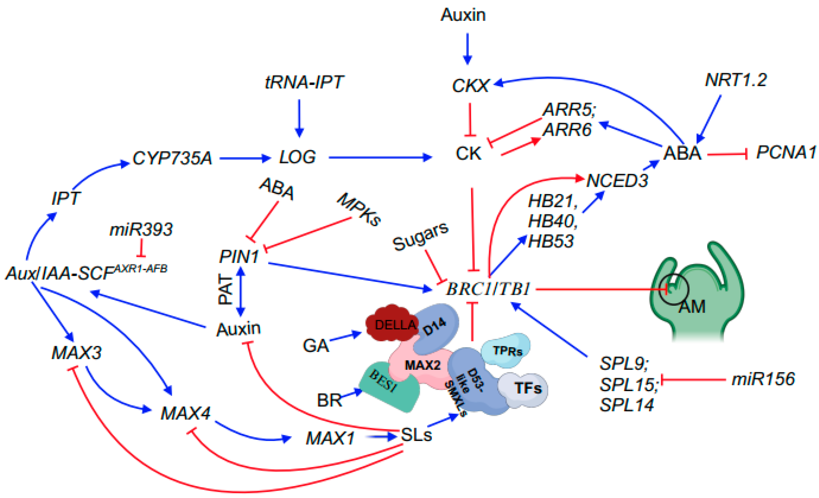 Plants 12 03628 g002 Plants 12 03628 g002