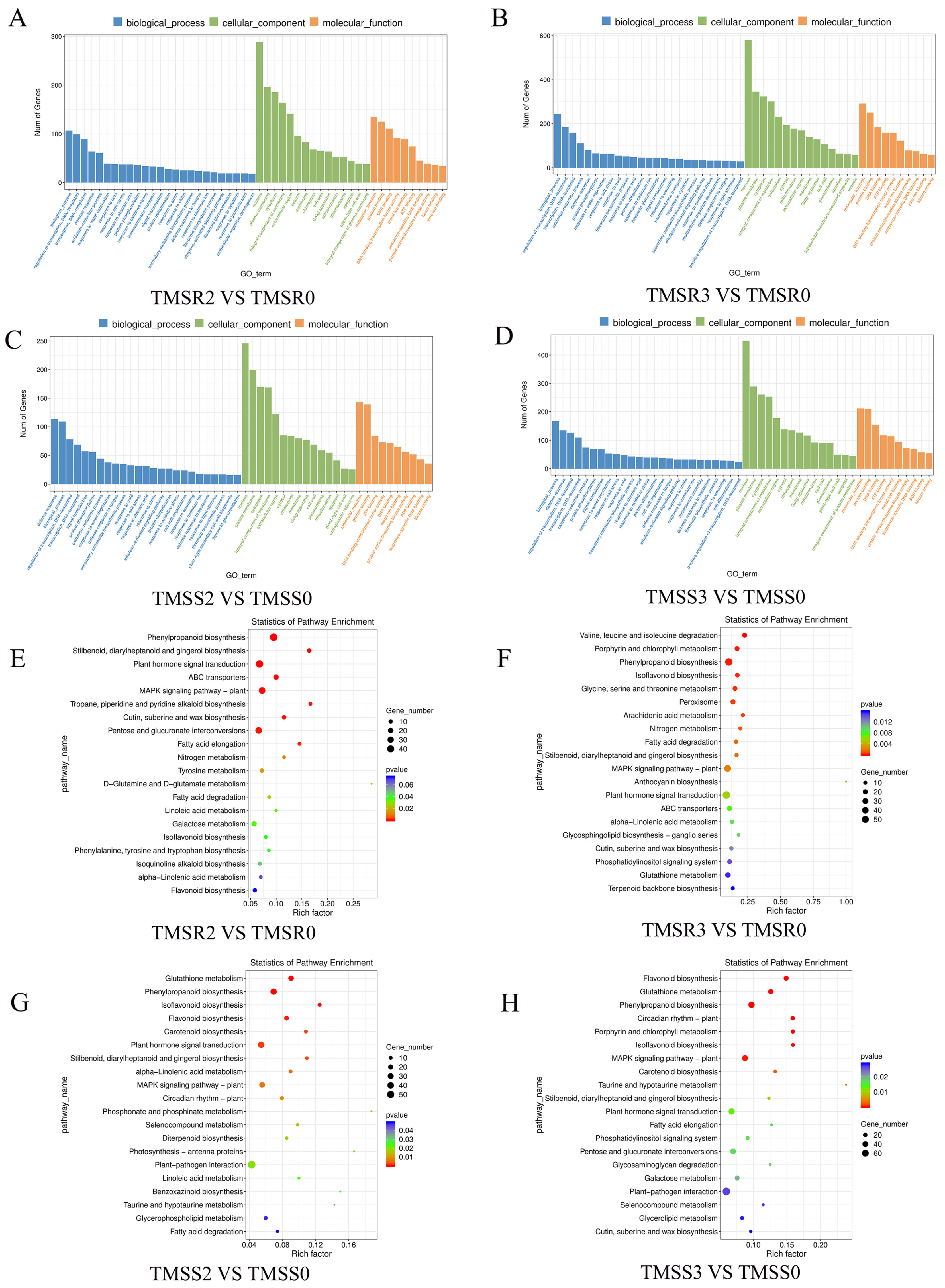 Plants 12 03634 g004