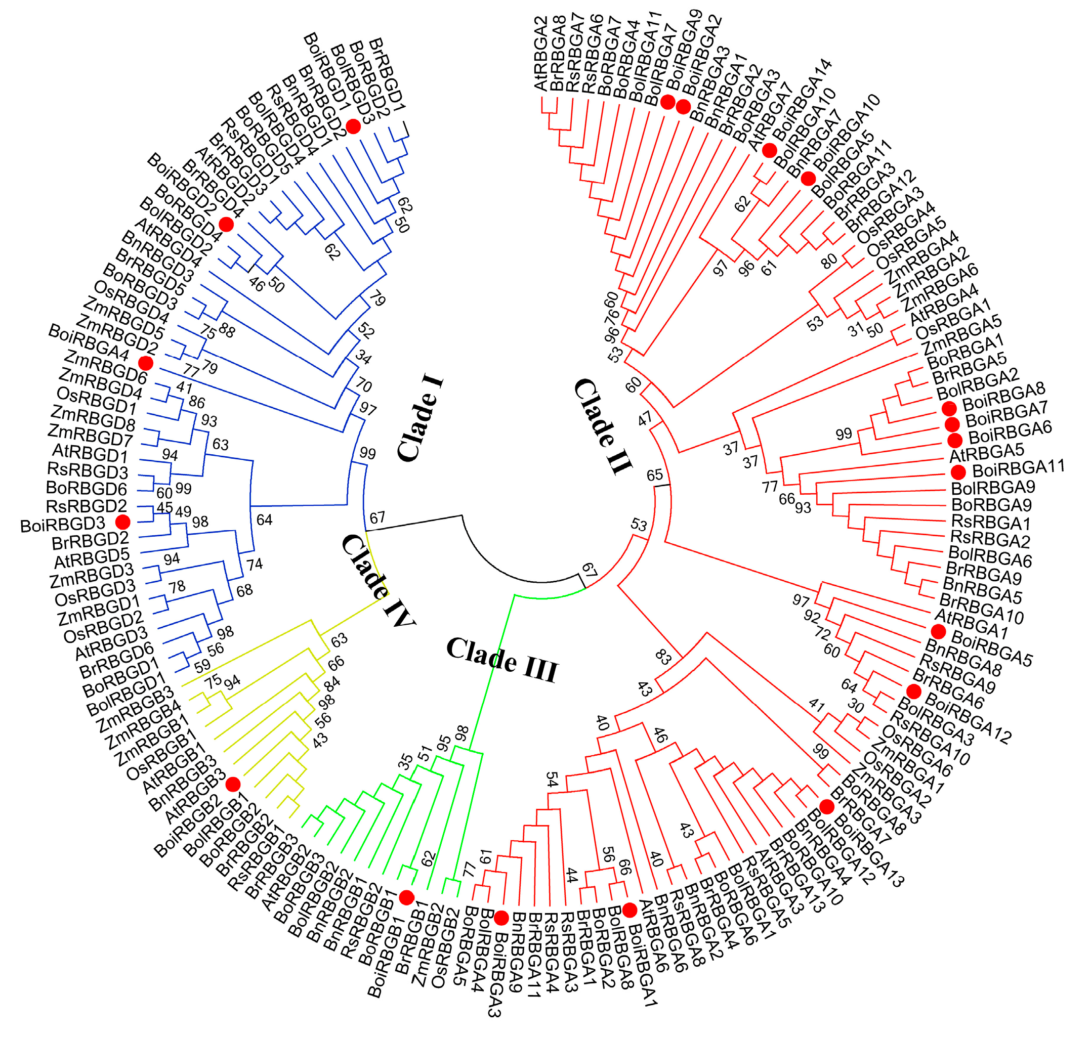 Plants 12 03706 g001