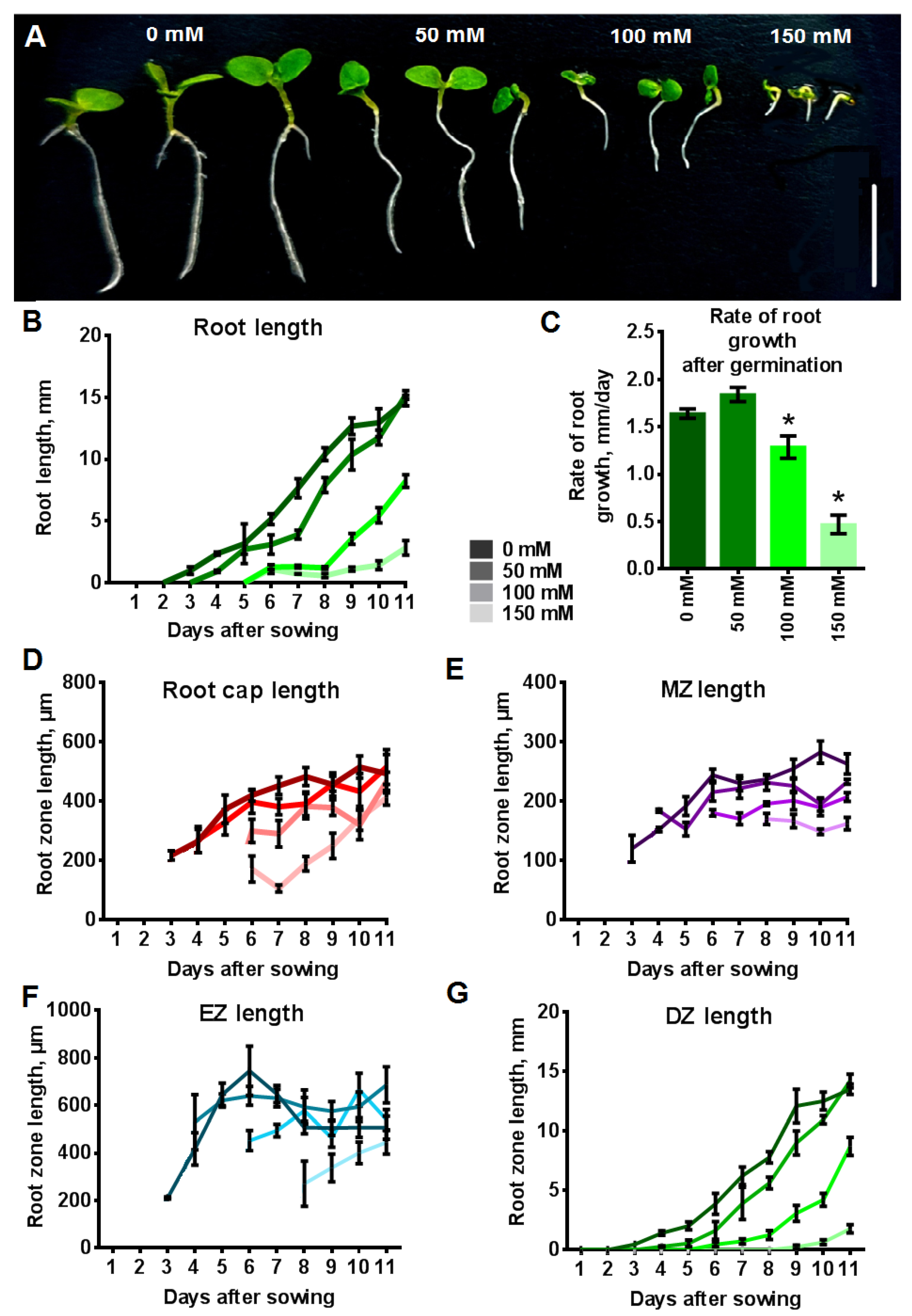 Plants 12 03708 g007