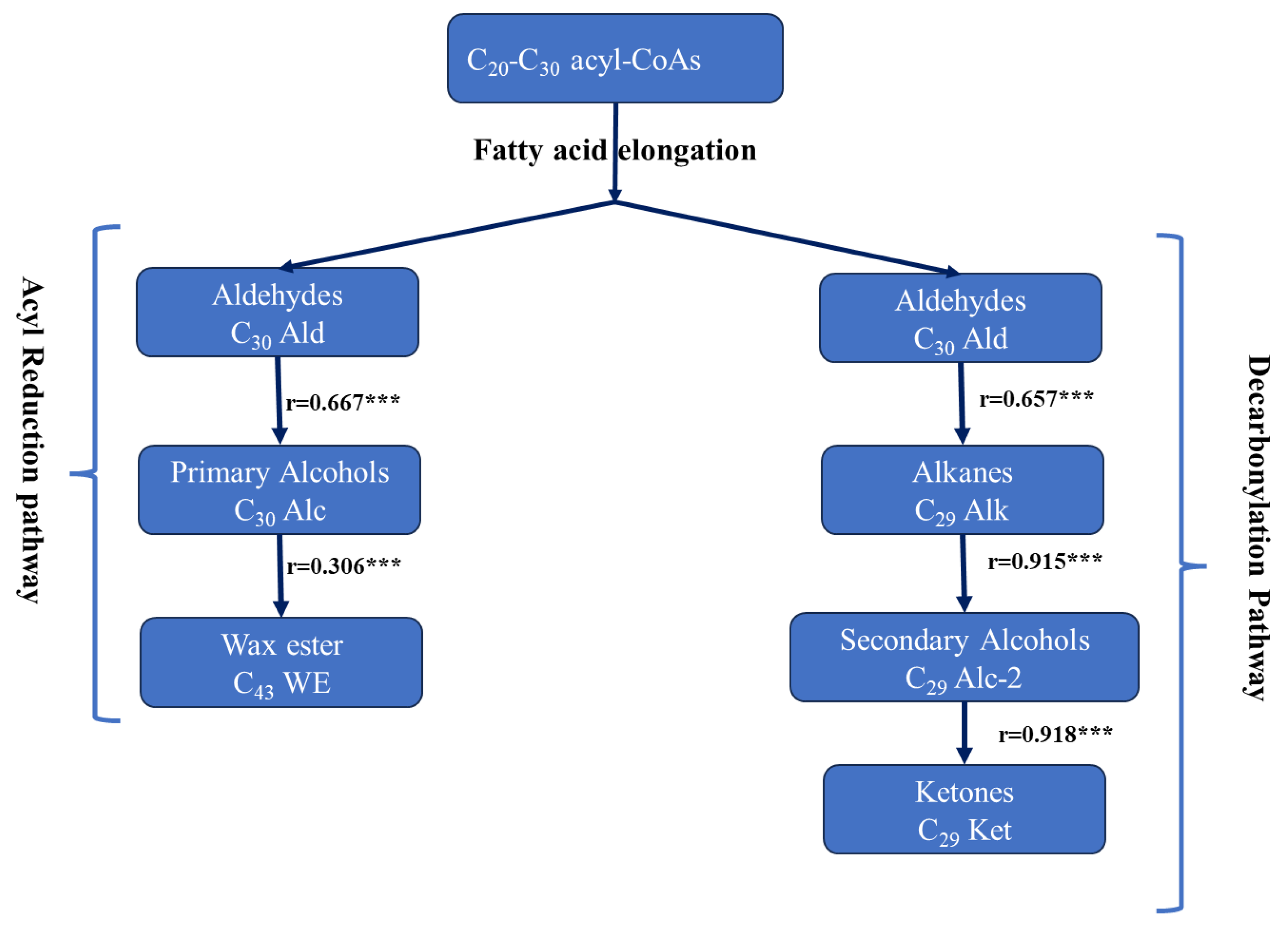 Plants 12 03716 g002