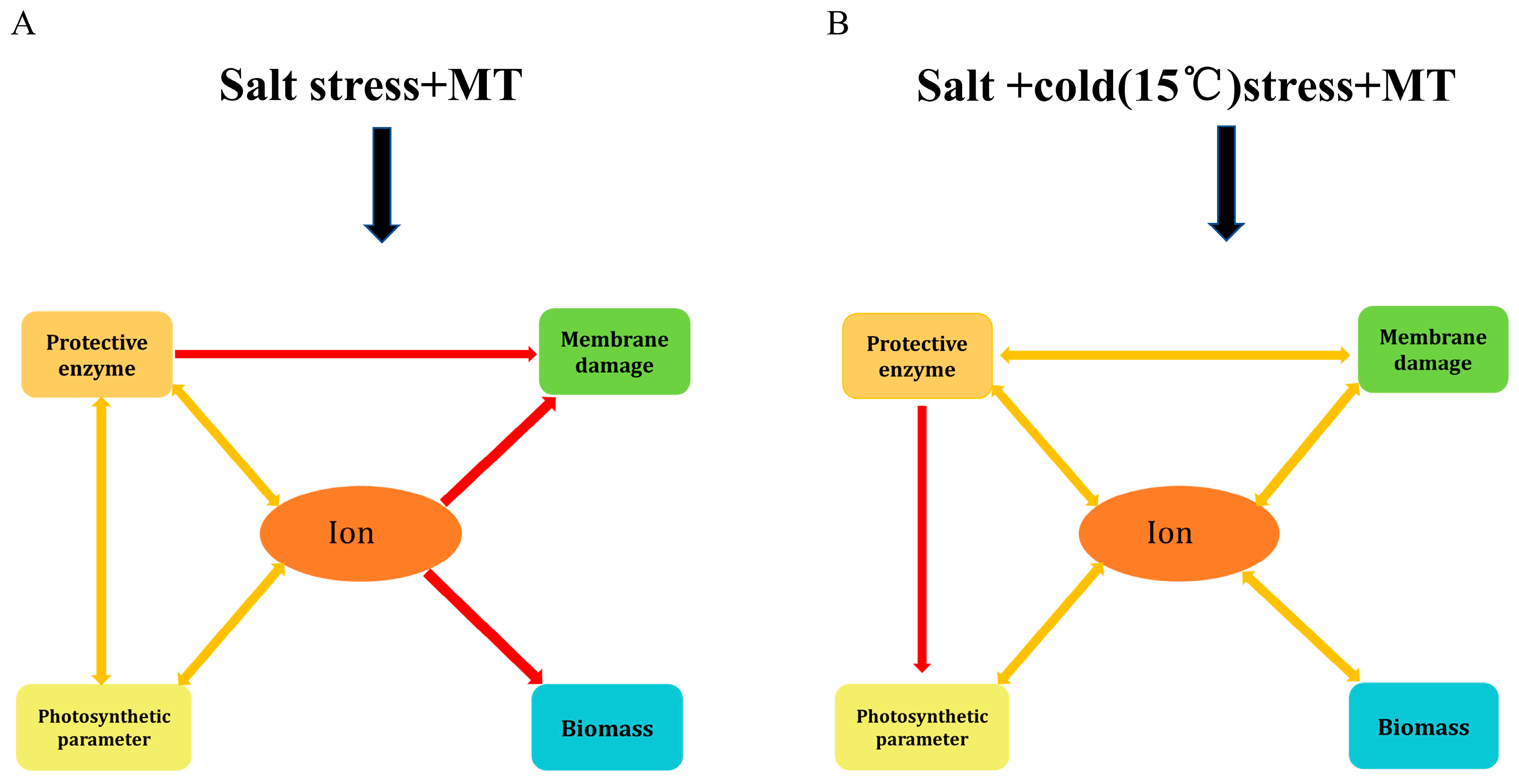 Plants 12 03730 g007