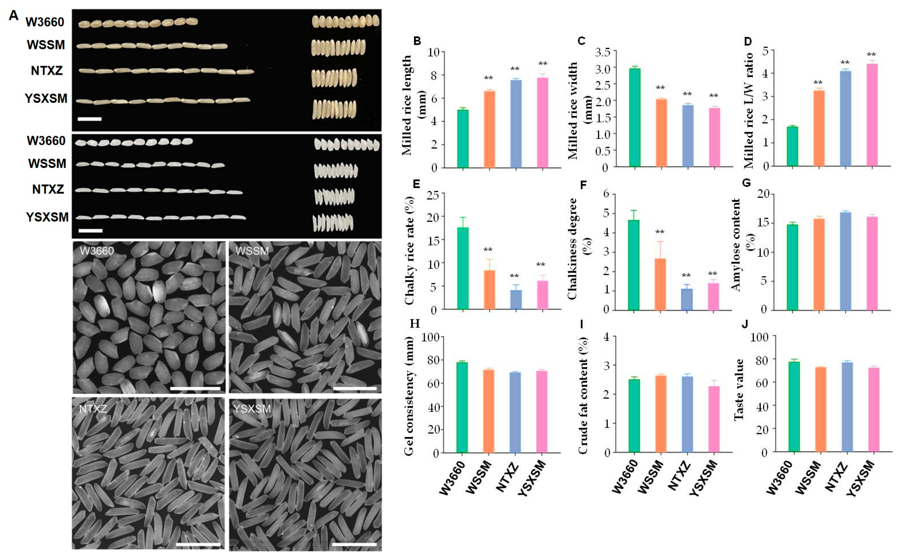 Plants 12 03763 g006