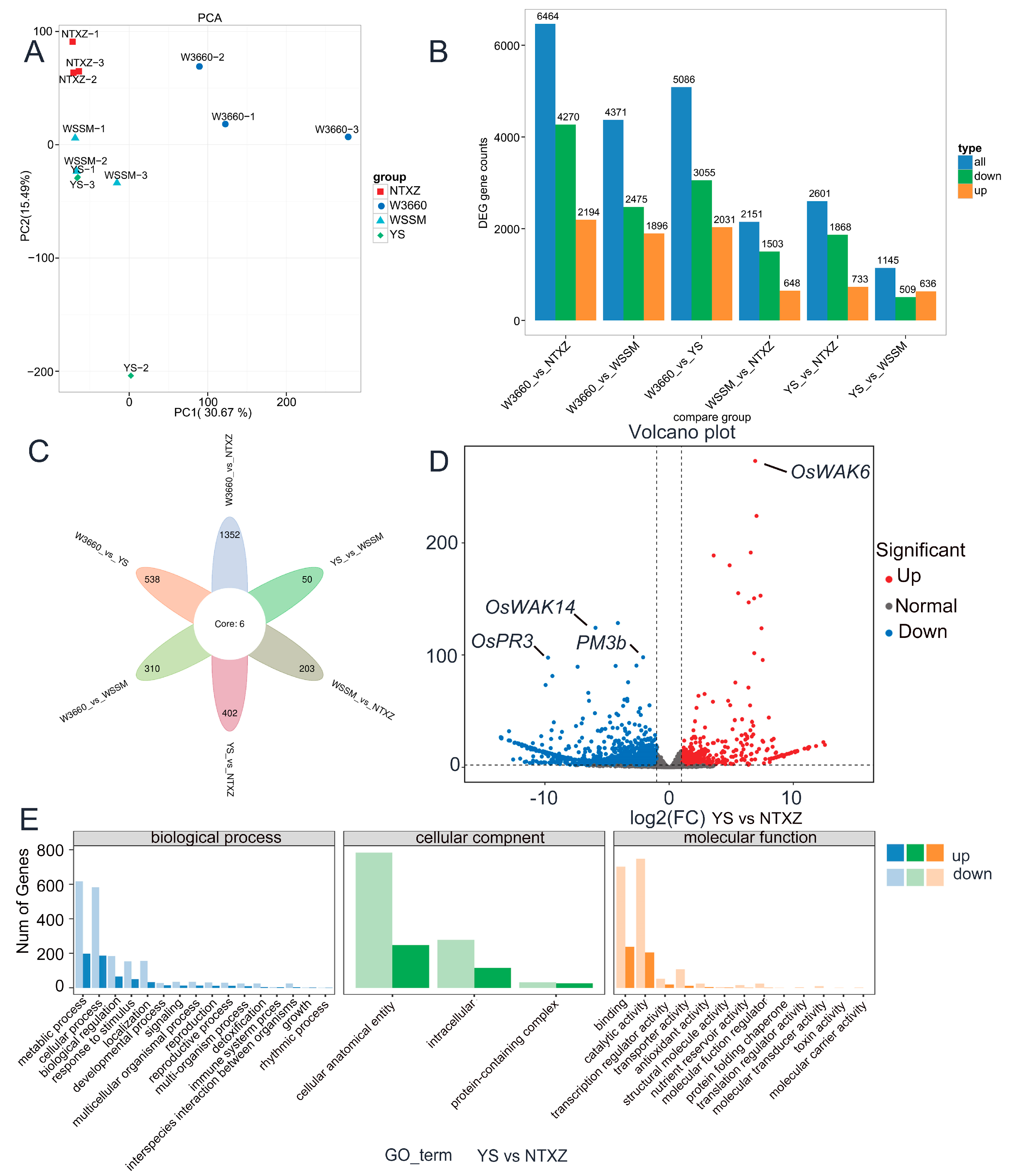 Plants 12 03763 g008